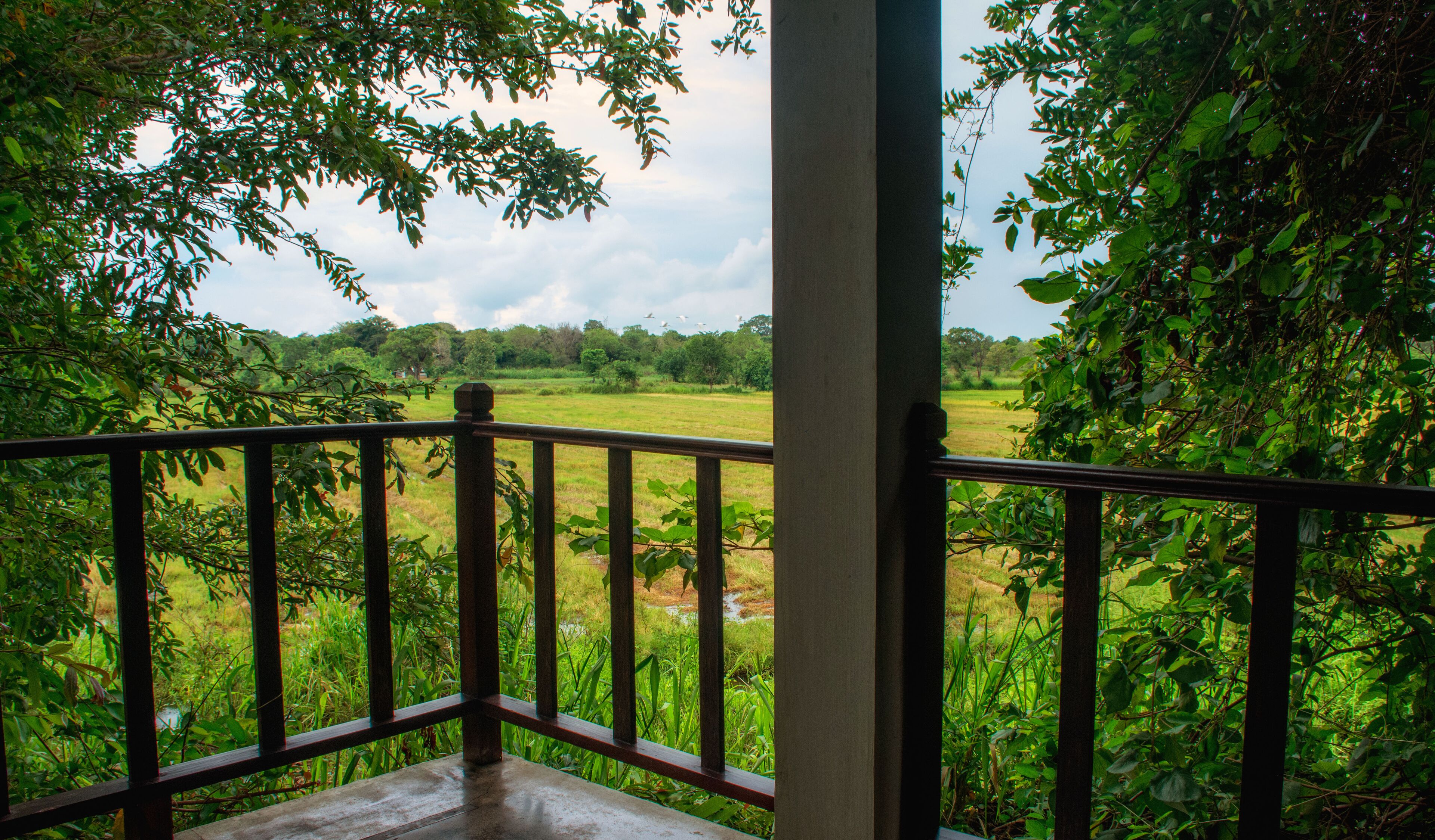 Camellia Resort and Spa