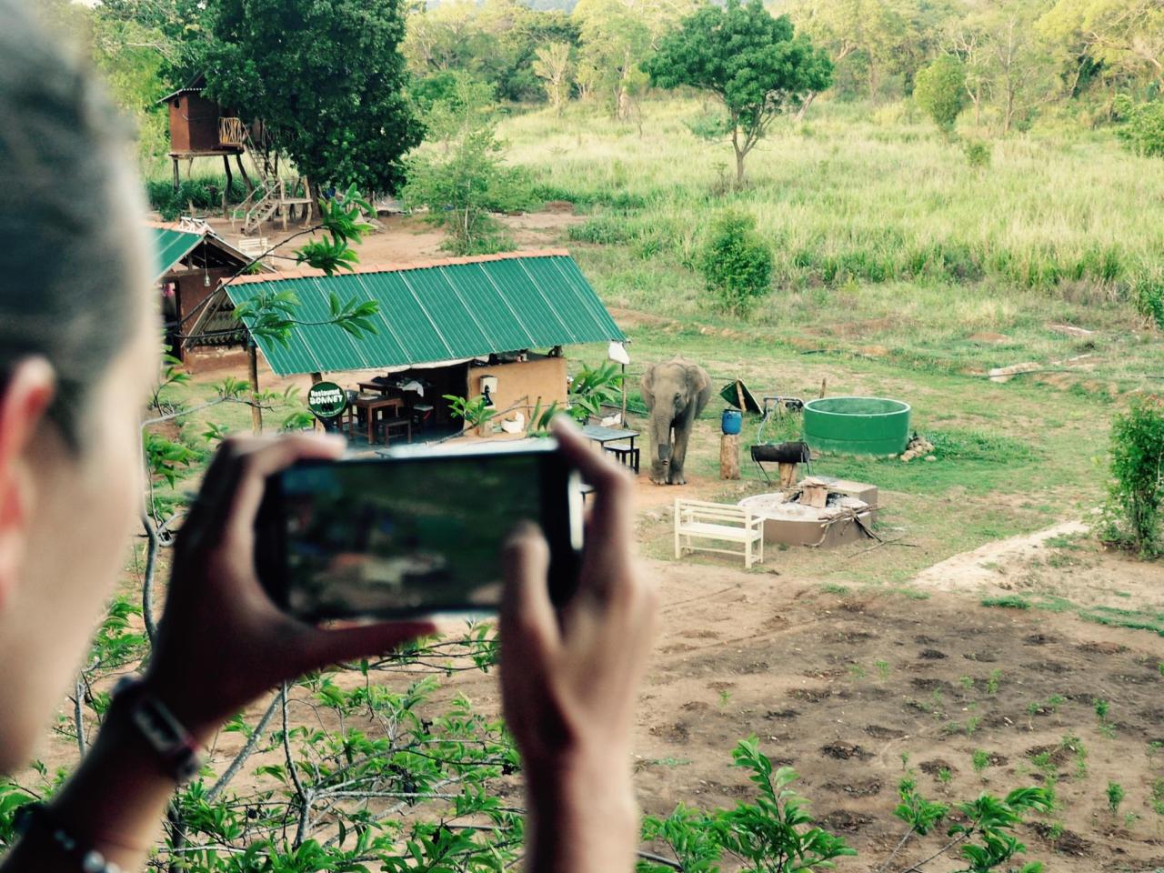 Elephant Watch Hut