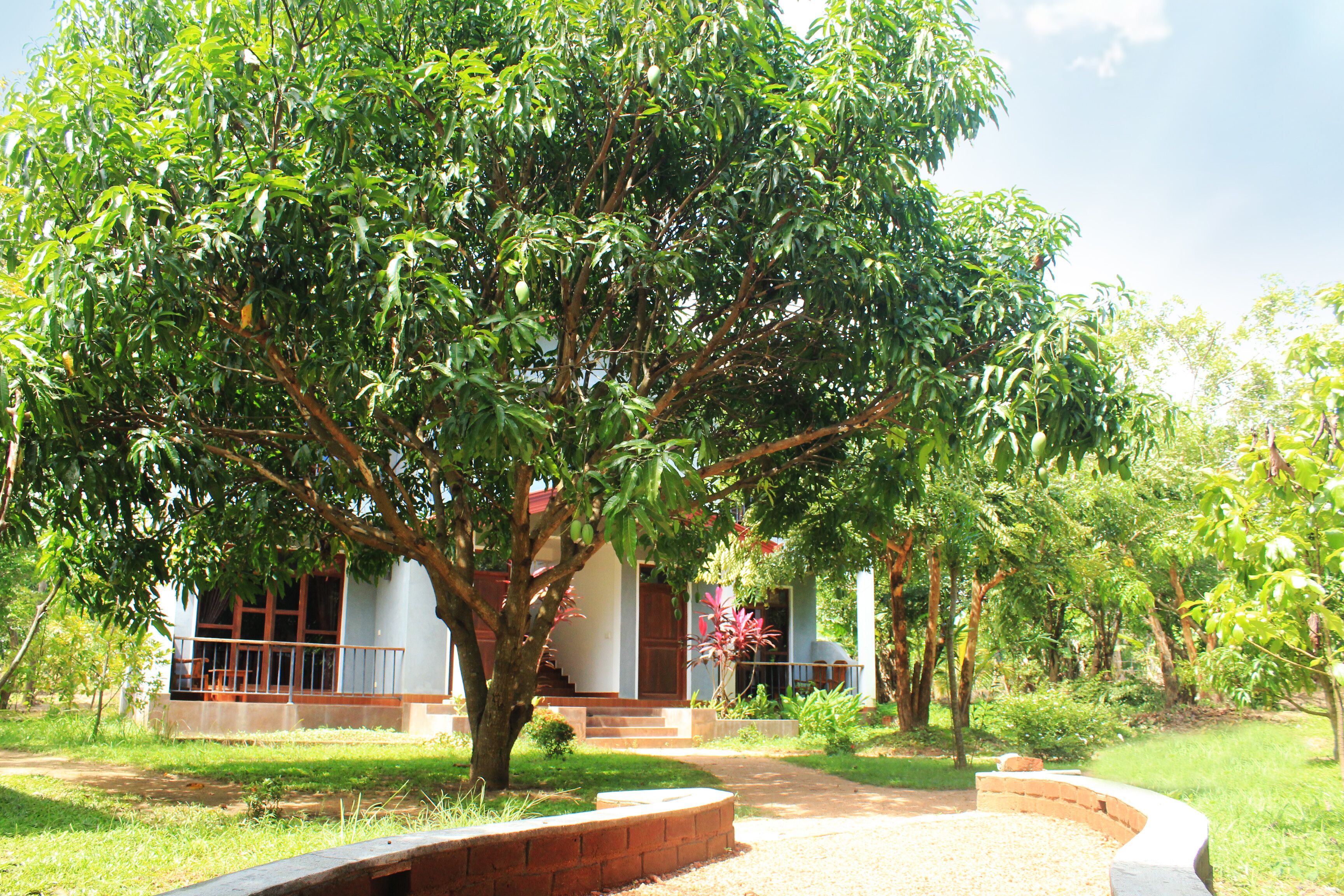 Green Hut Hotel & Restaurant