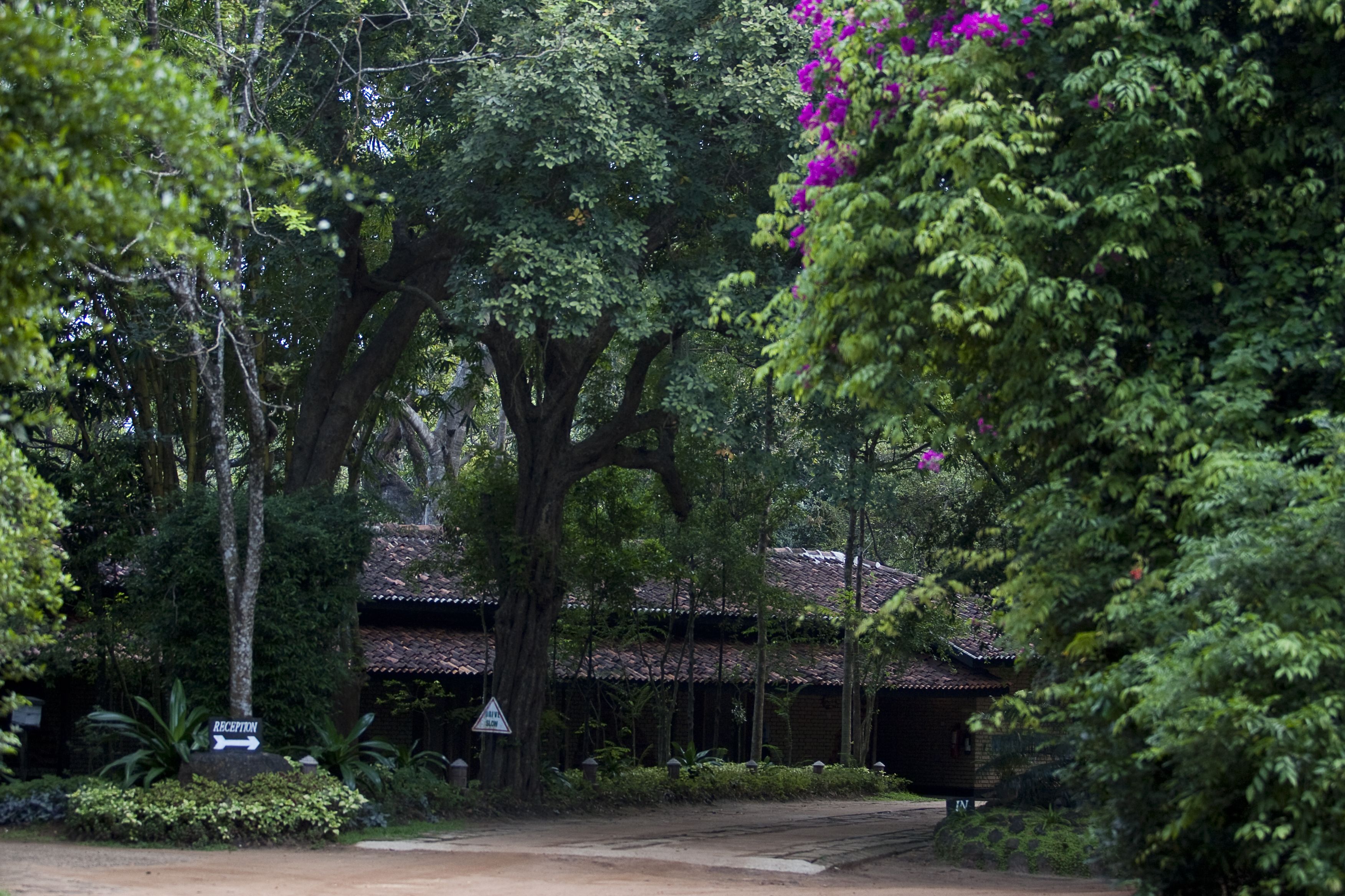 Hotel Sigiriya