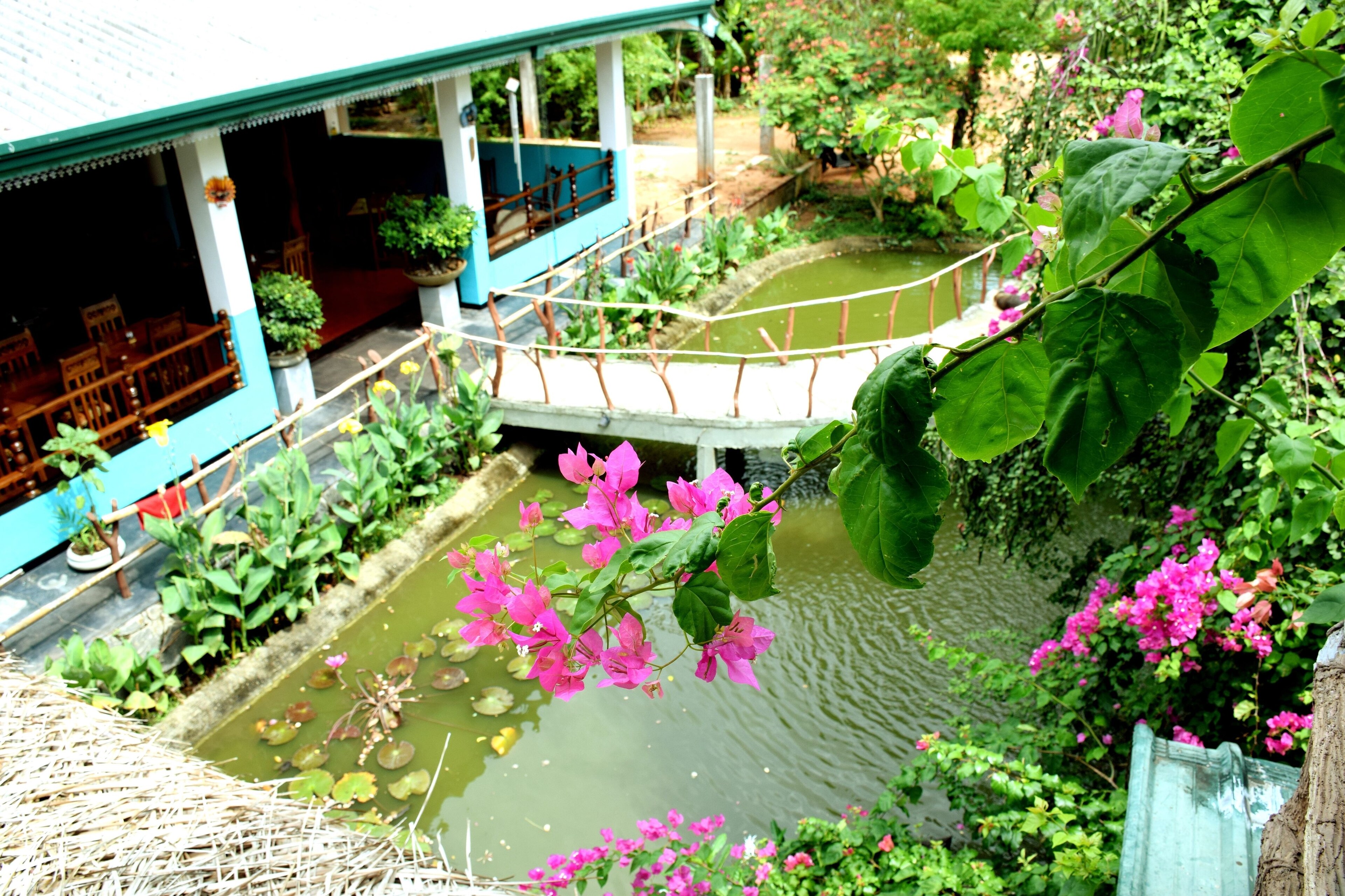 Hungry Lion Resort and Restaurant