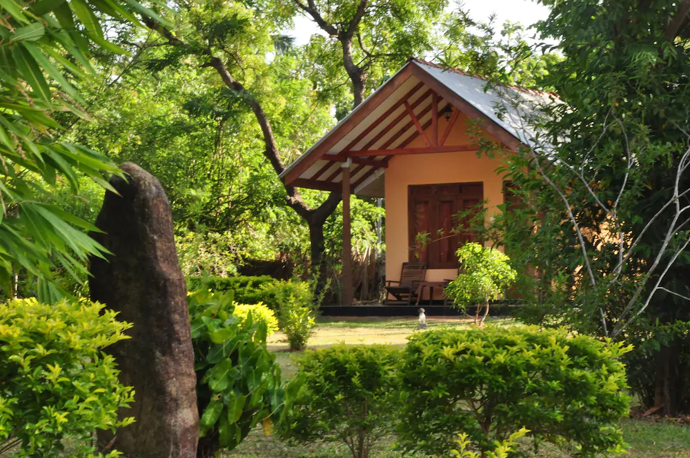 Liyon Rest
