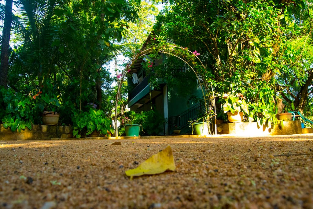 Madawa Rest