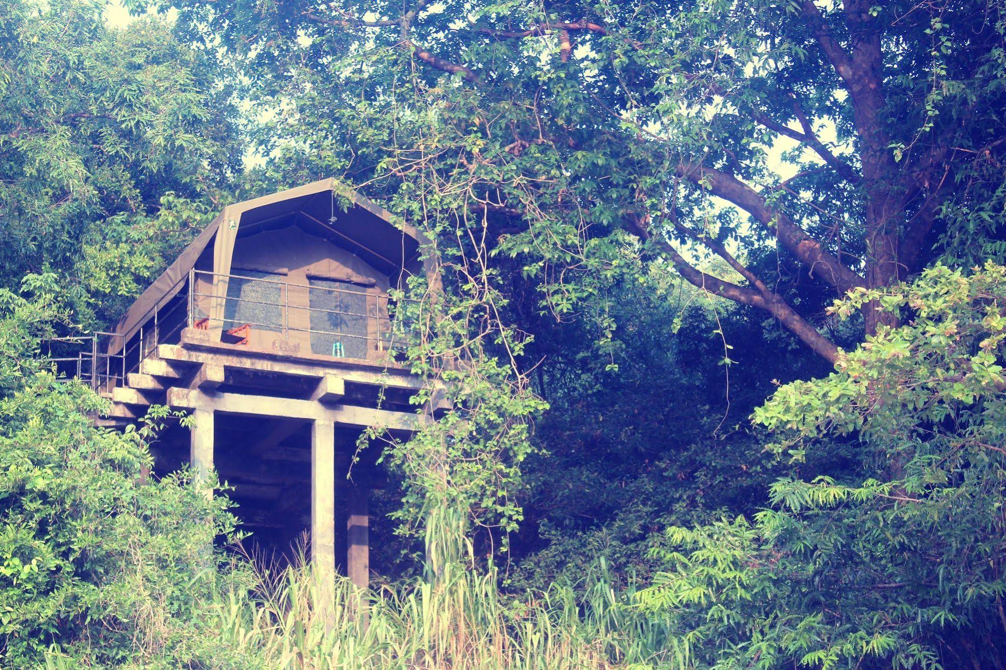 Mahoora Tented Safari Camp - Wasgamuwa