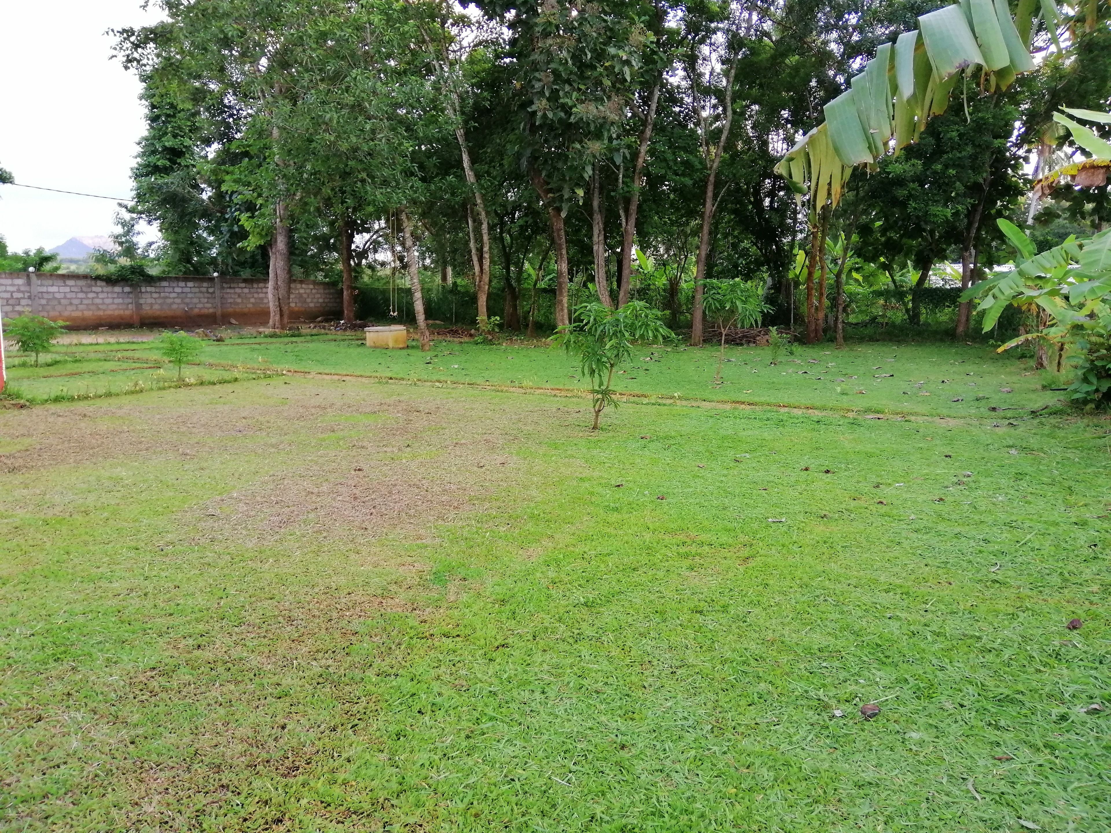 Organic Garden Sigiriya