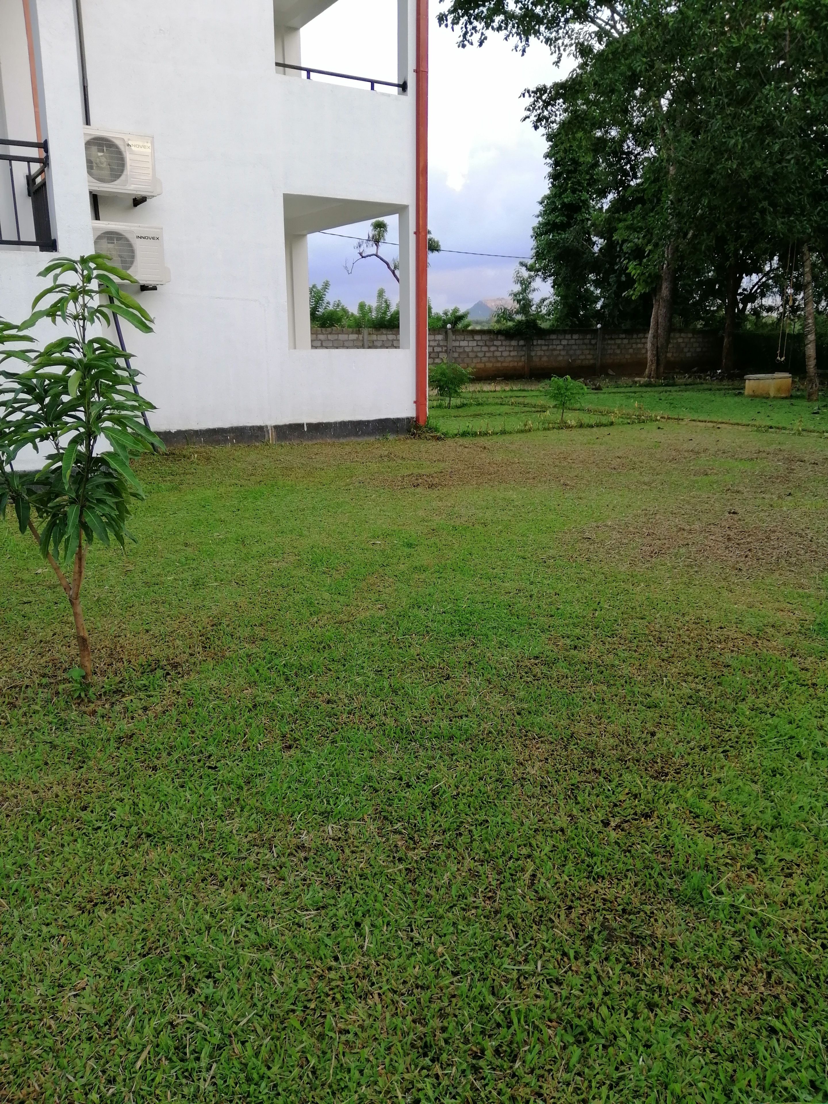 Organic Garden Sigiriya