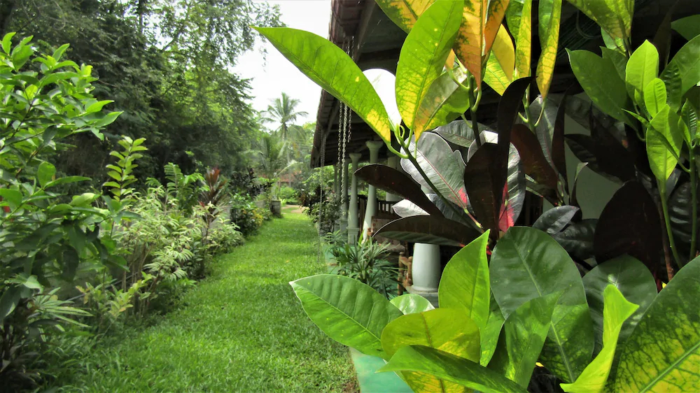 Pura Sanda Villa