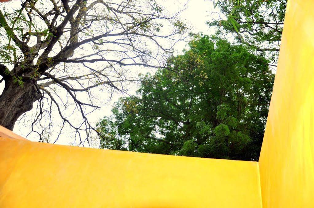 Raintree