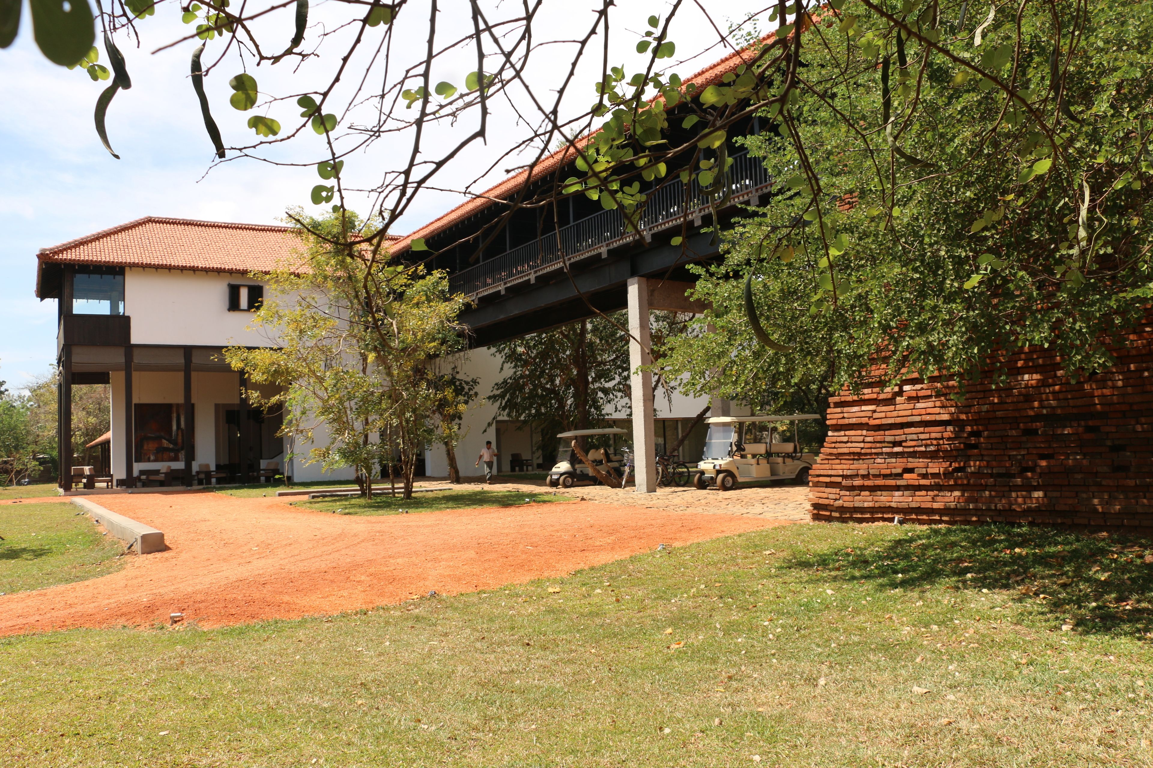 Sigiriya Jungles