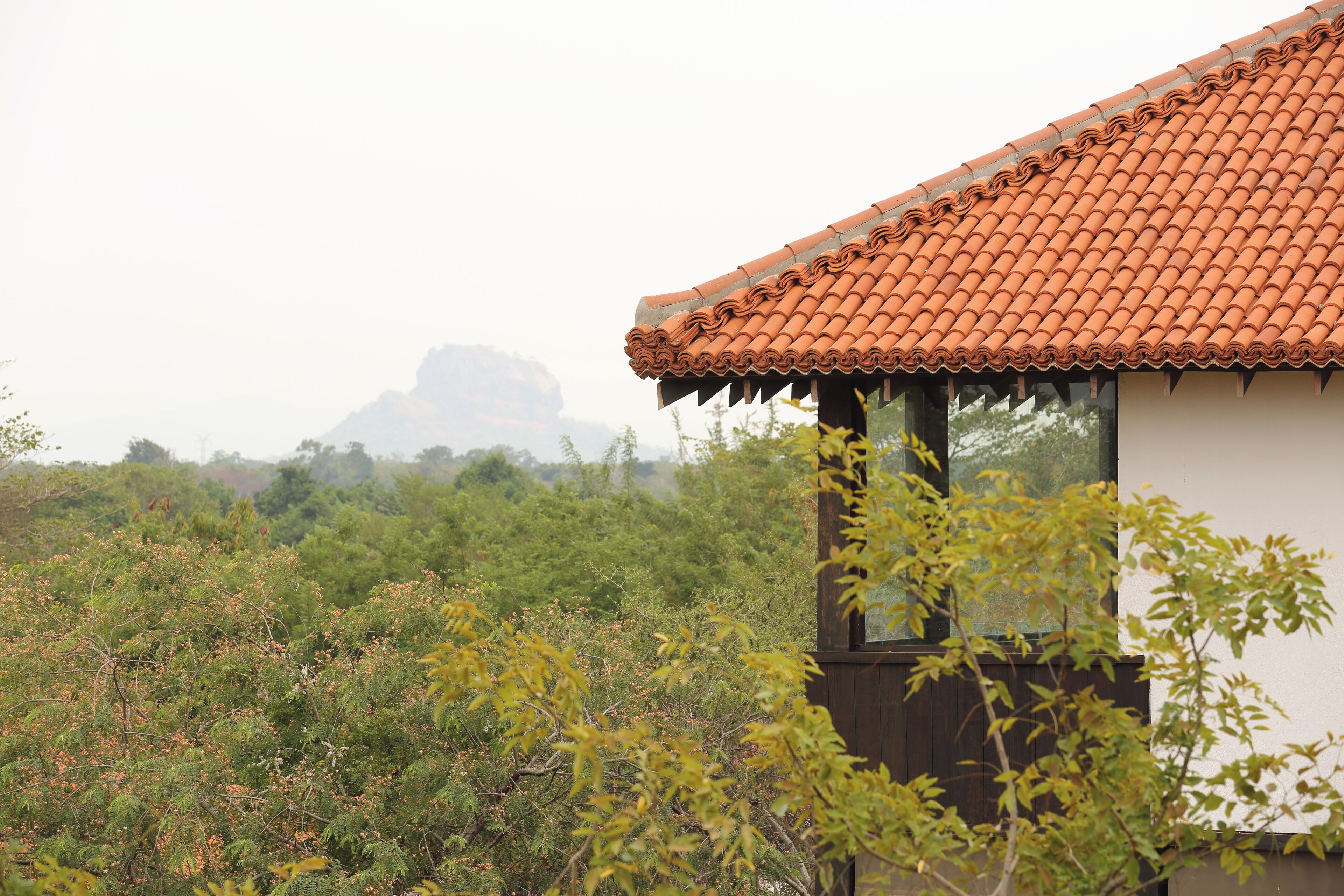 Sigiriya Jungles