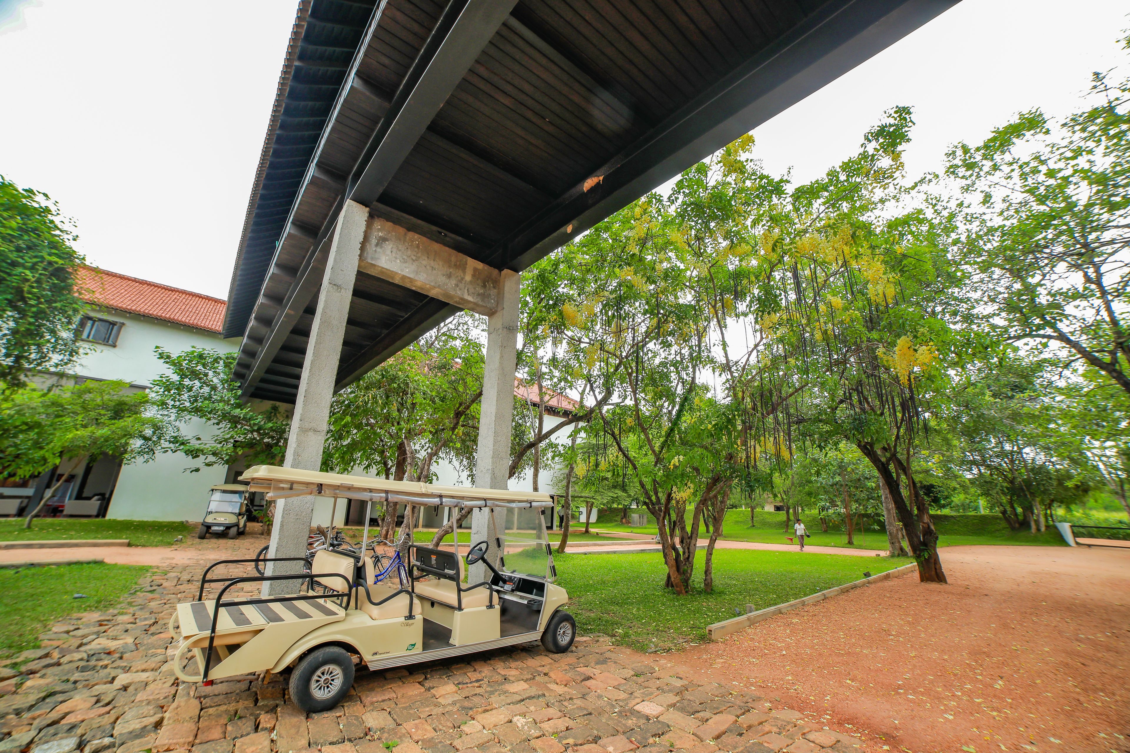 Sigiriya Jungles