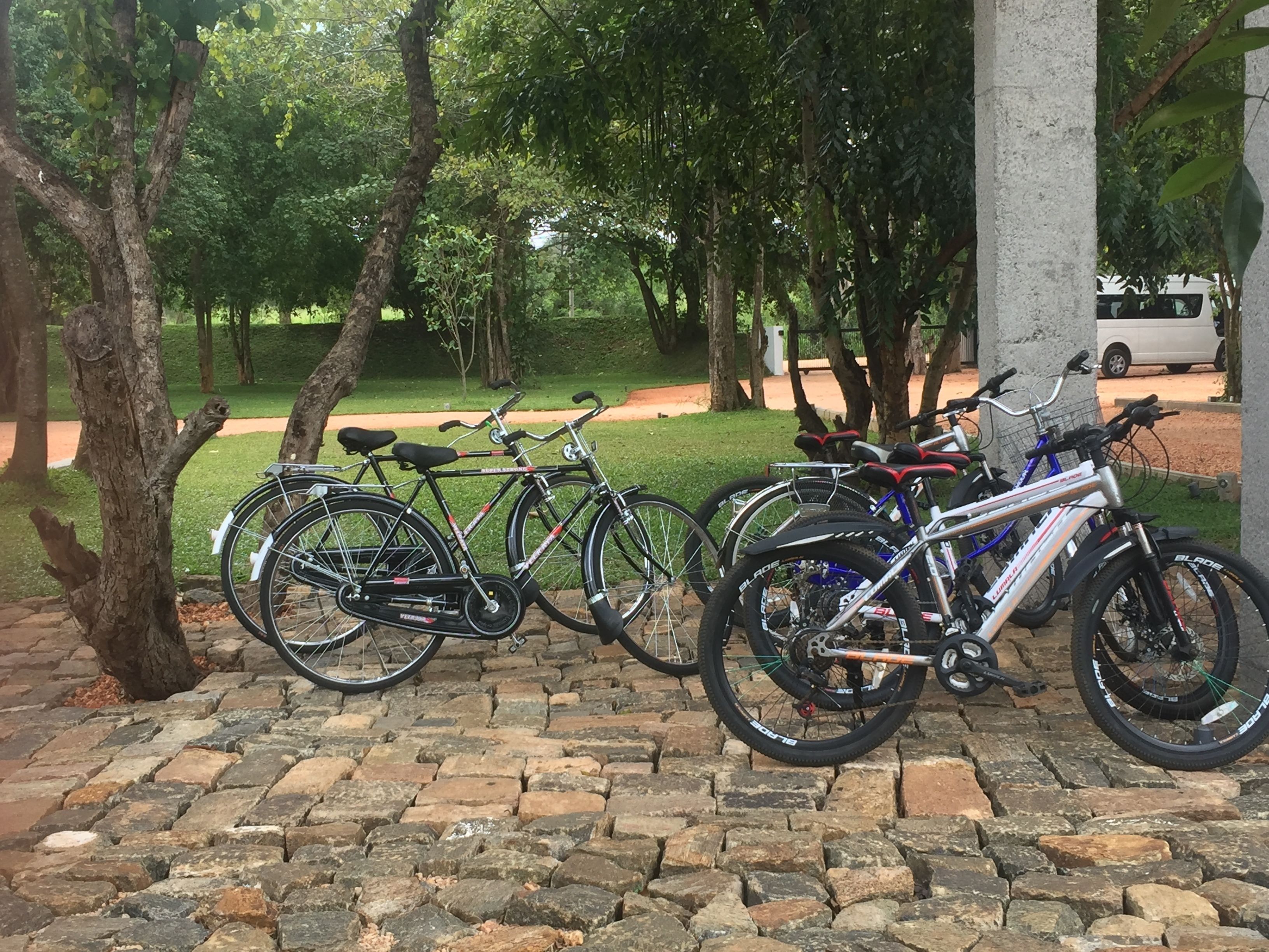 Sigiriya Jungles