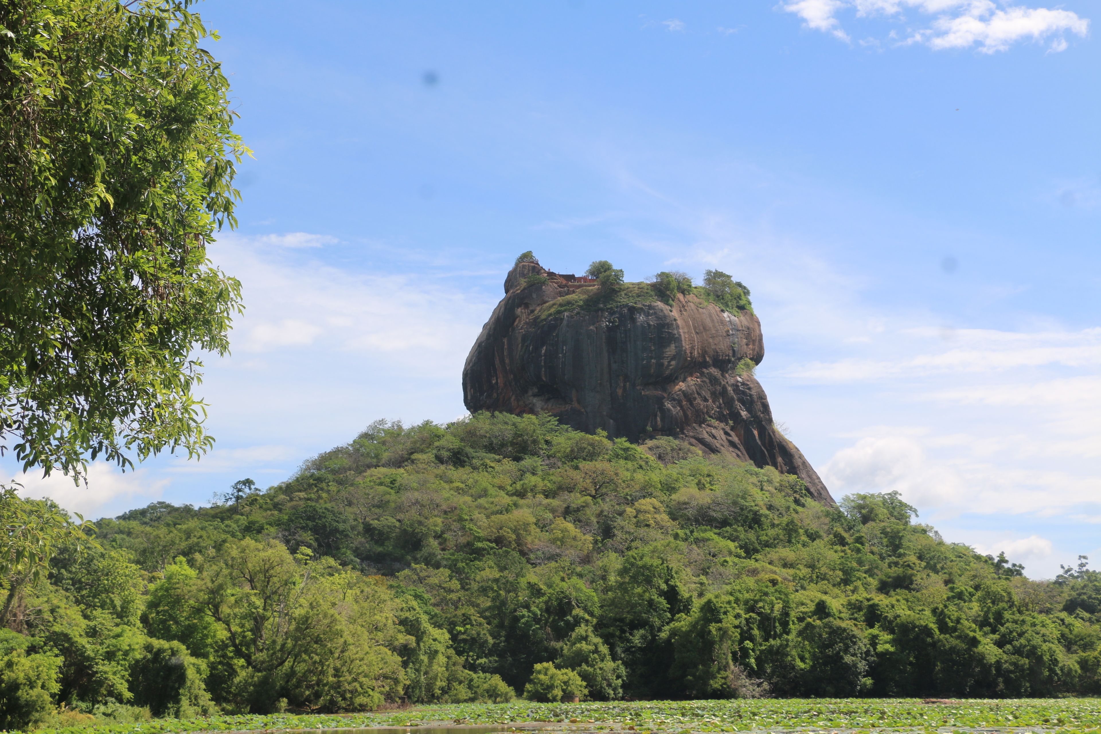 Sigiriya Jungles