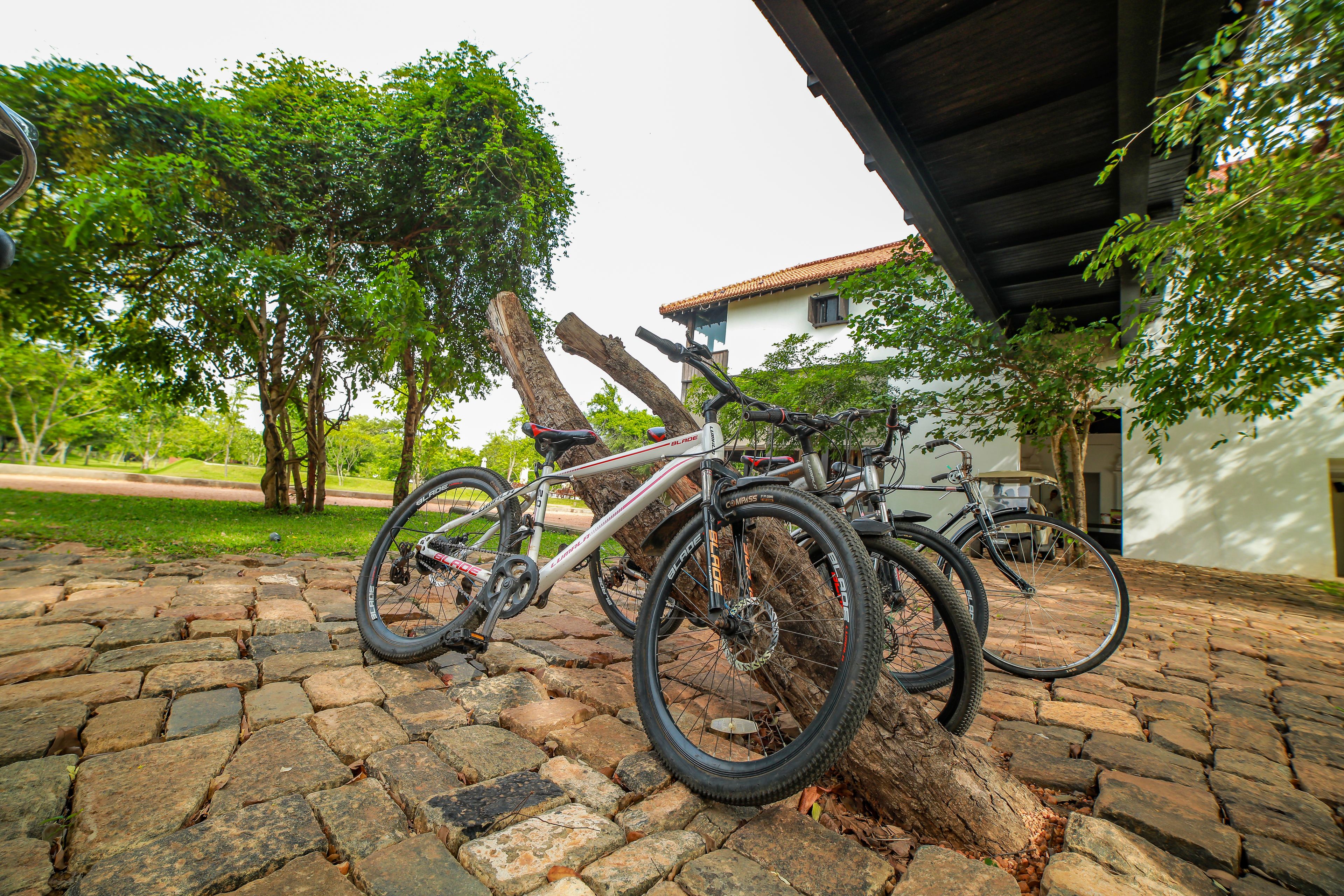 Sigiriya Jungles