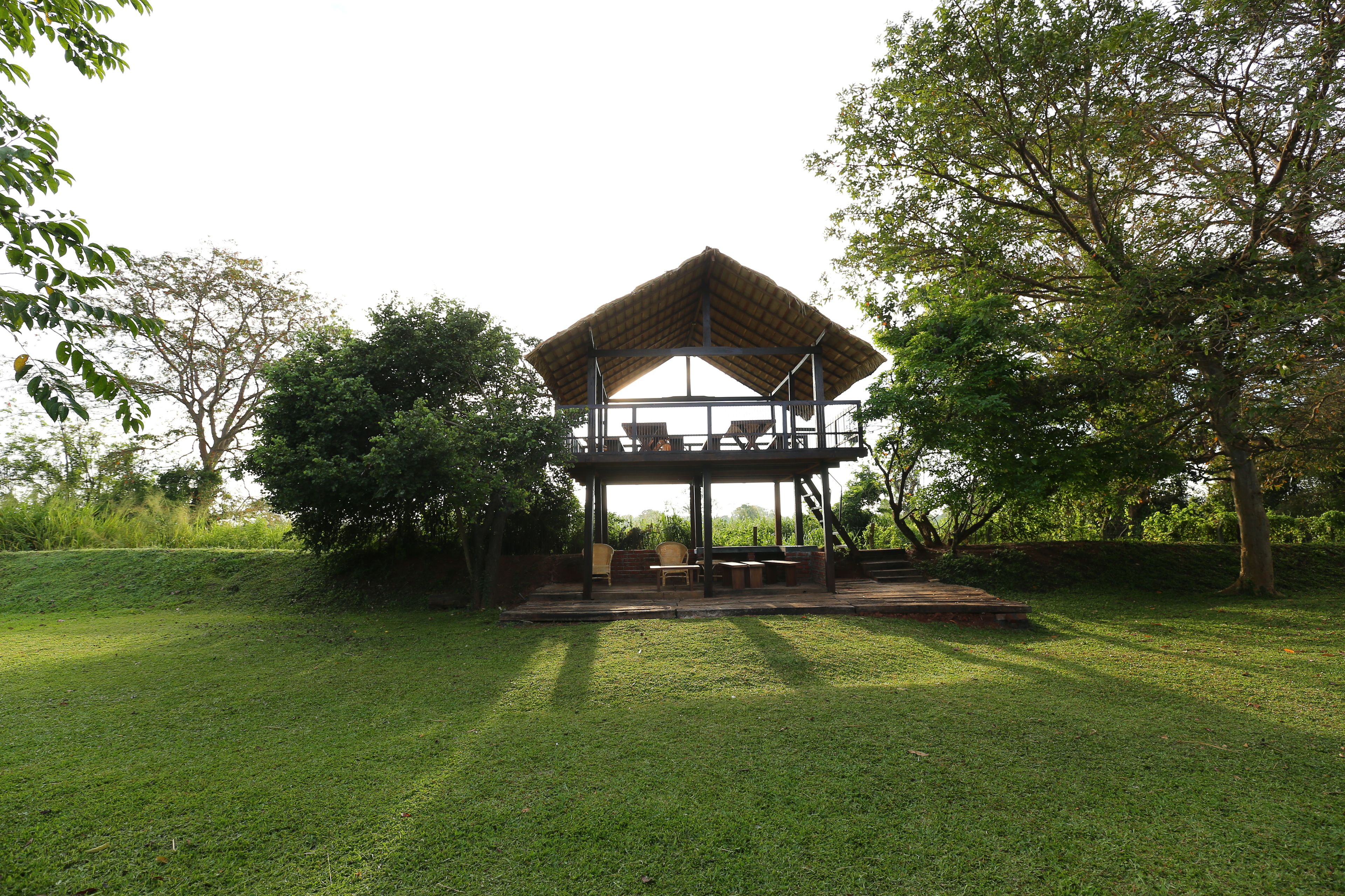 Sigiriya Jungles