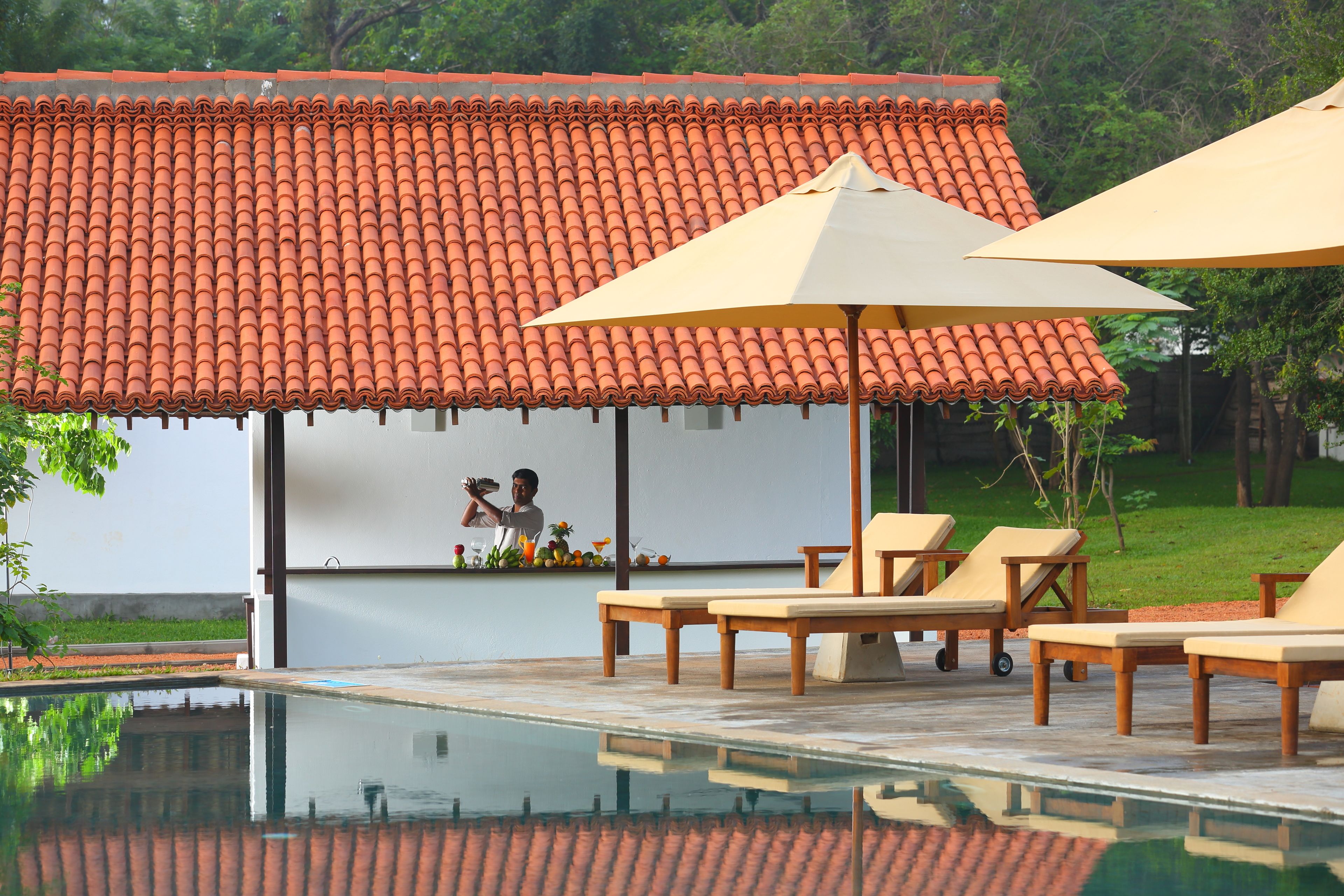 Sigiriya Jungles