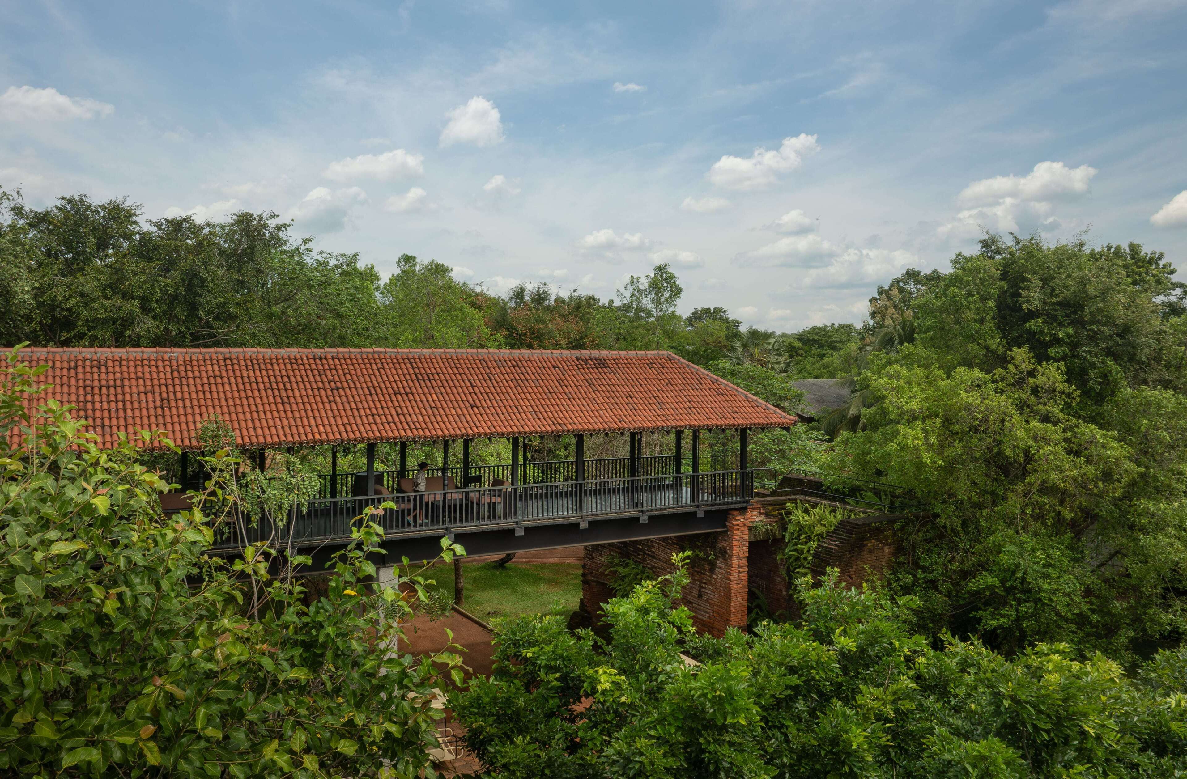 Sigiriya Jungles