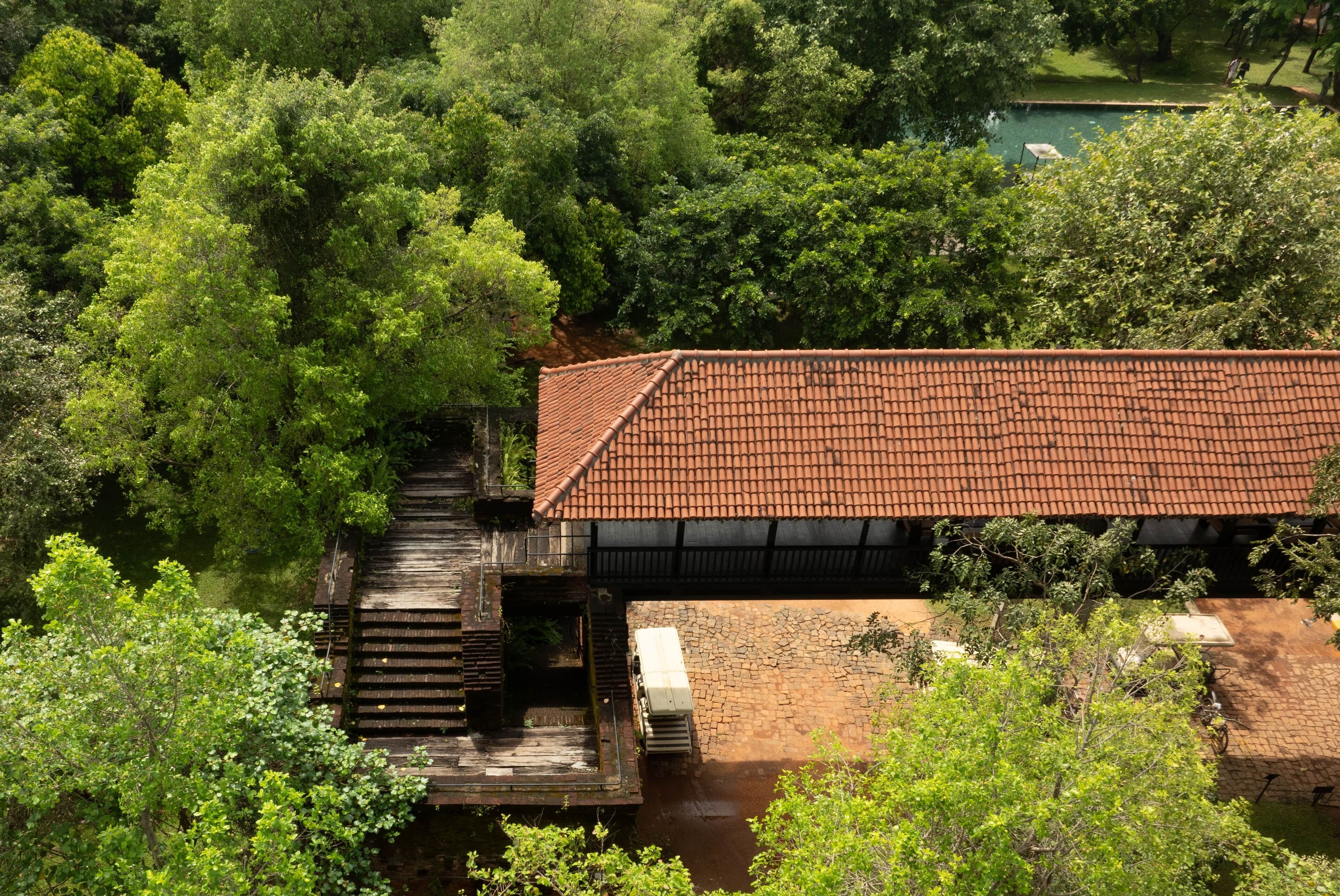 Sigiriya Jungles