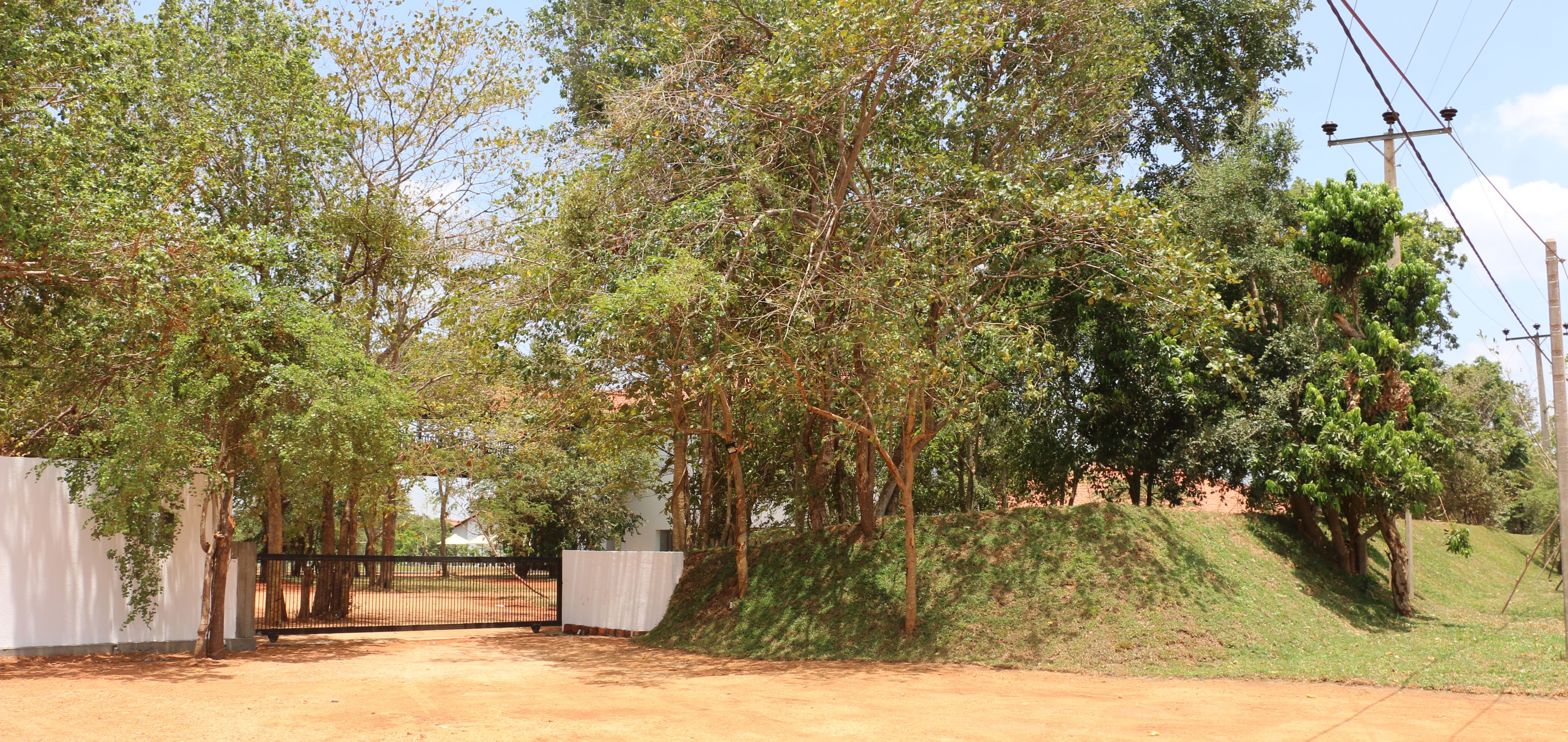Sigiriya Jungles