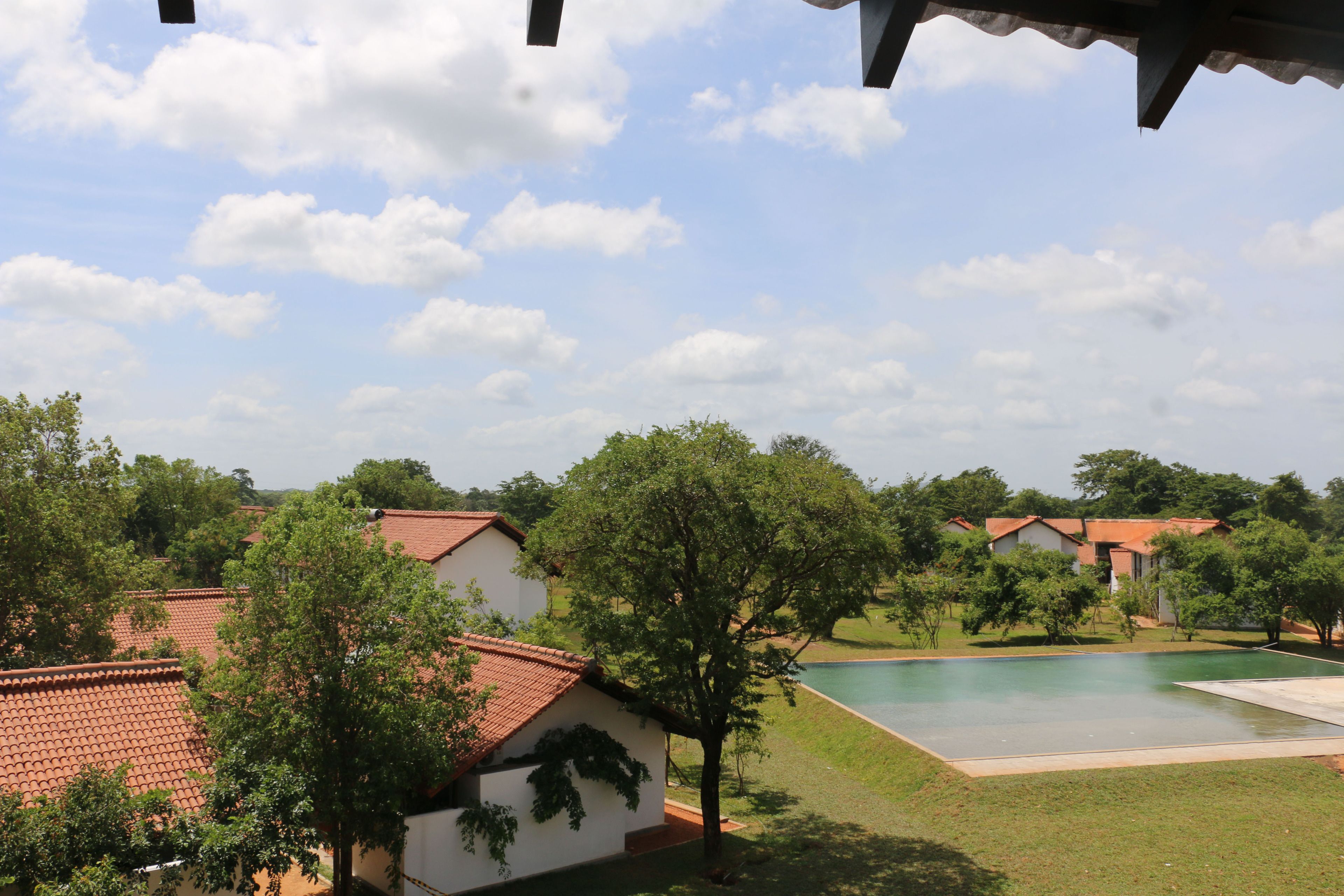 Sigiriya Jungles