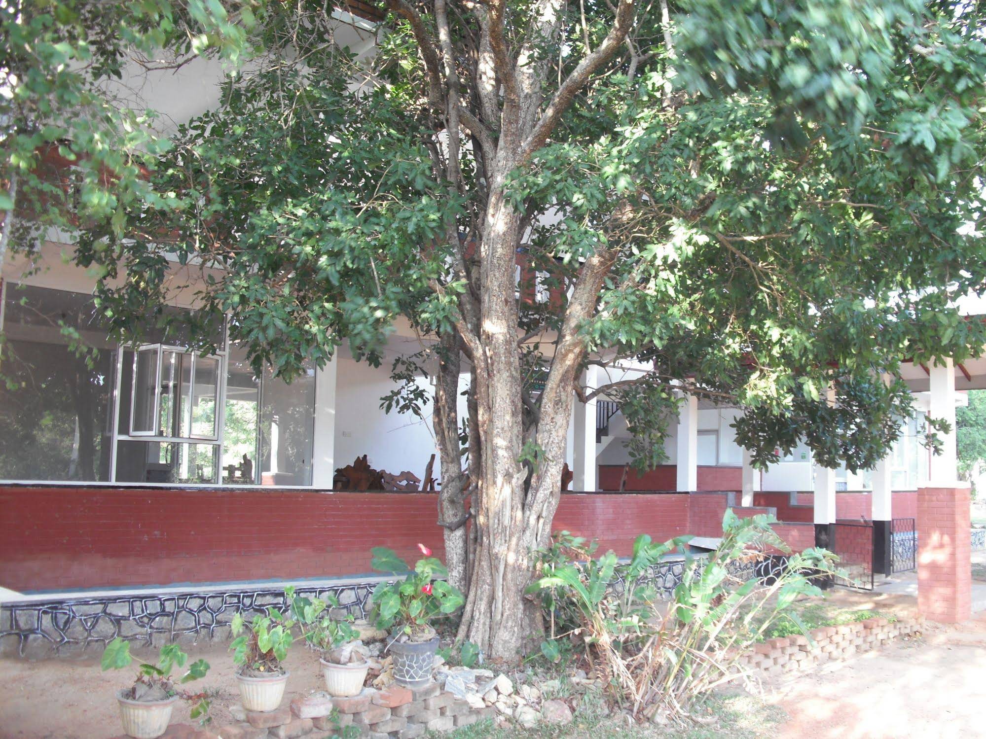 Sinhagiri Villa