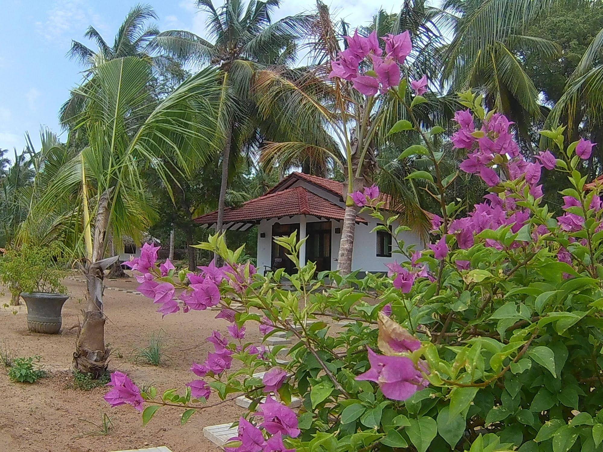 Chill Enjoy Cabanas & Restaurant