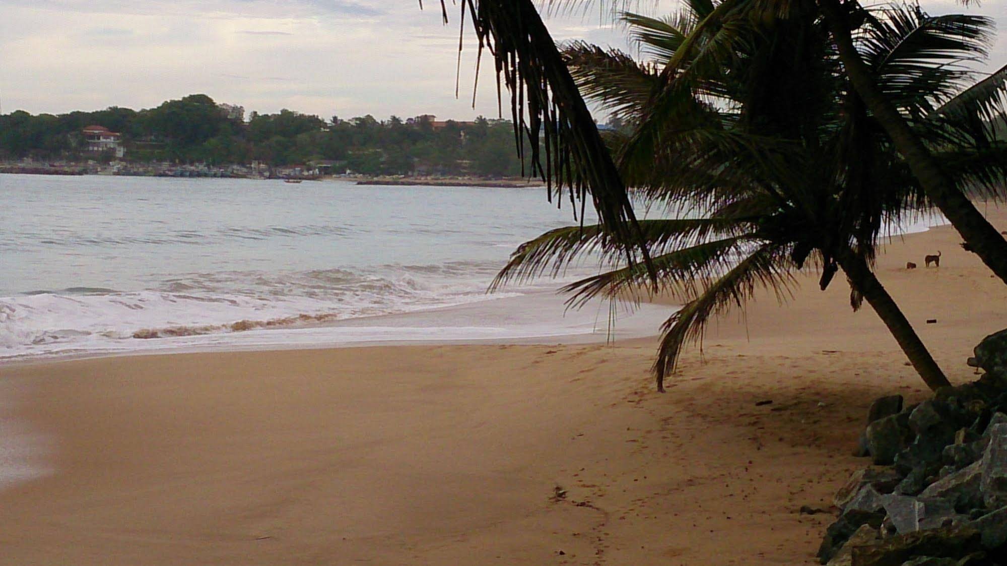 Gayana Hotel