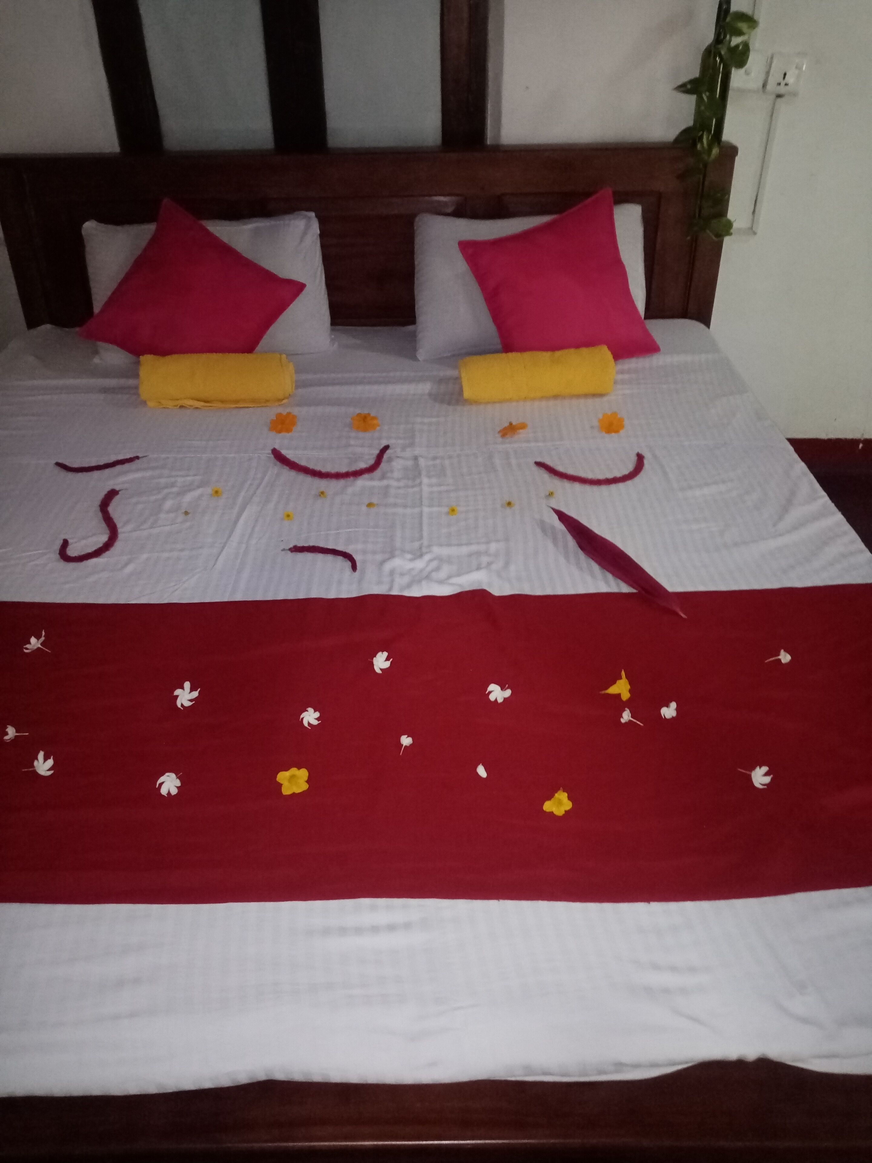 Surf Paradise Hotel