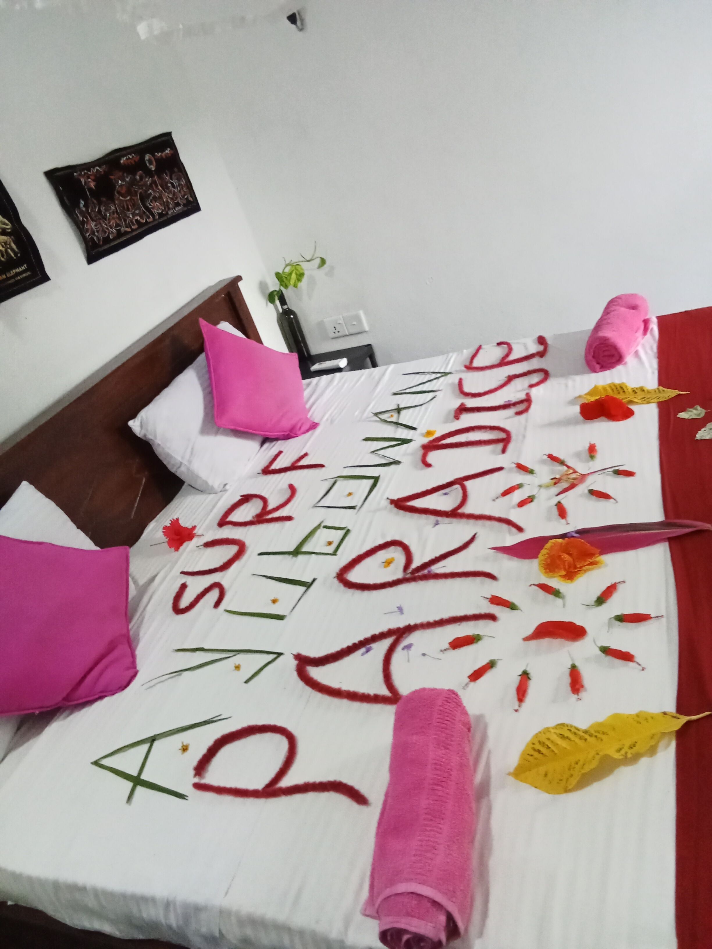 Surf Paradise Hotel