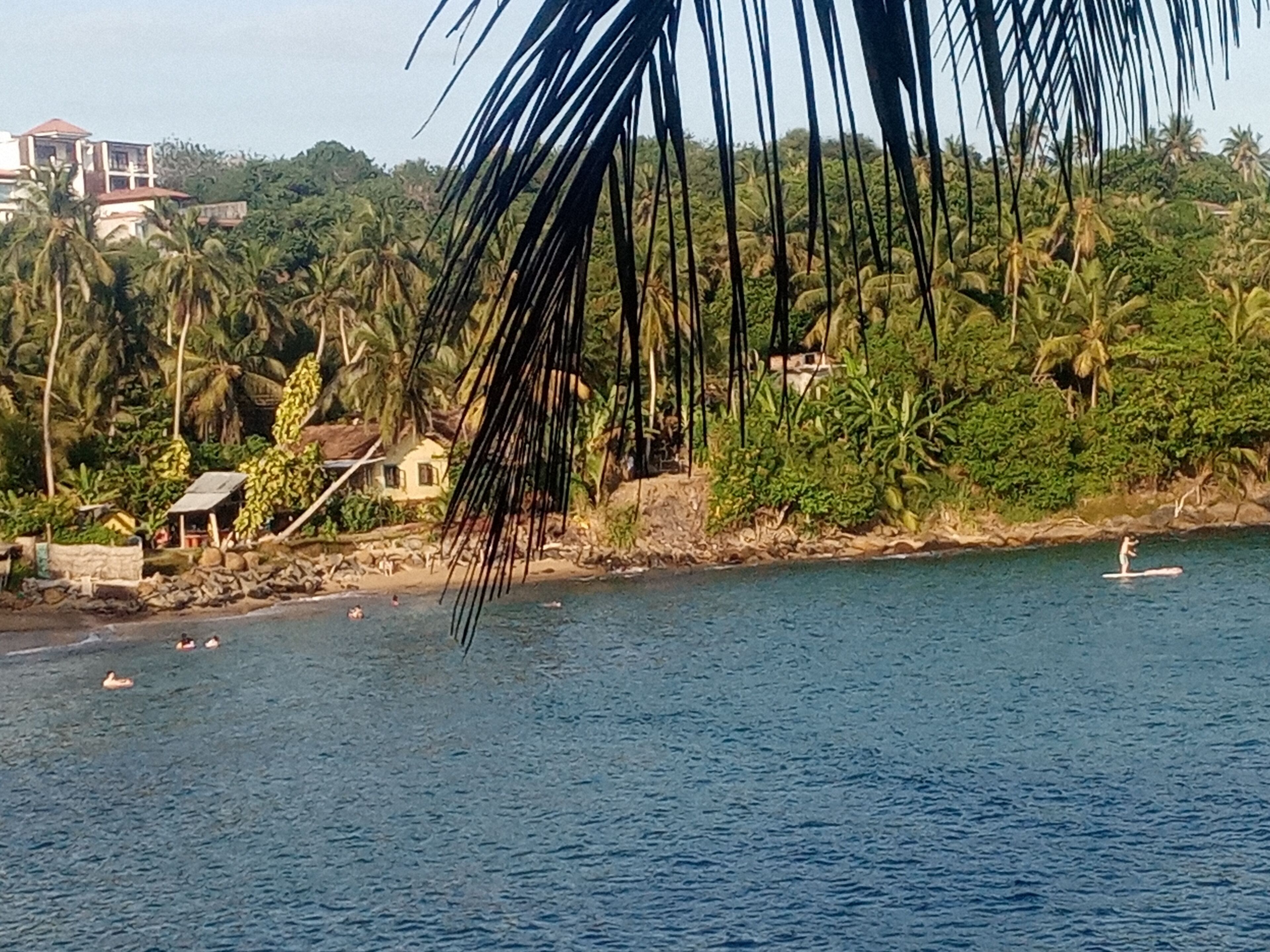 Surf Paradise Hotel