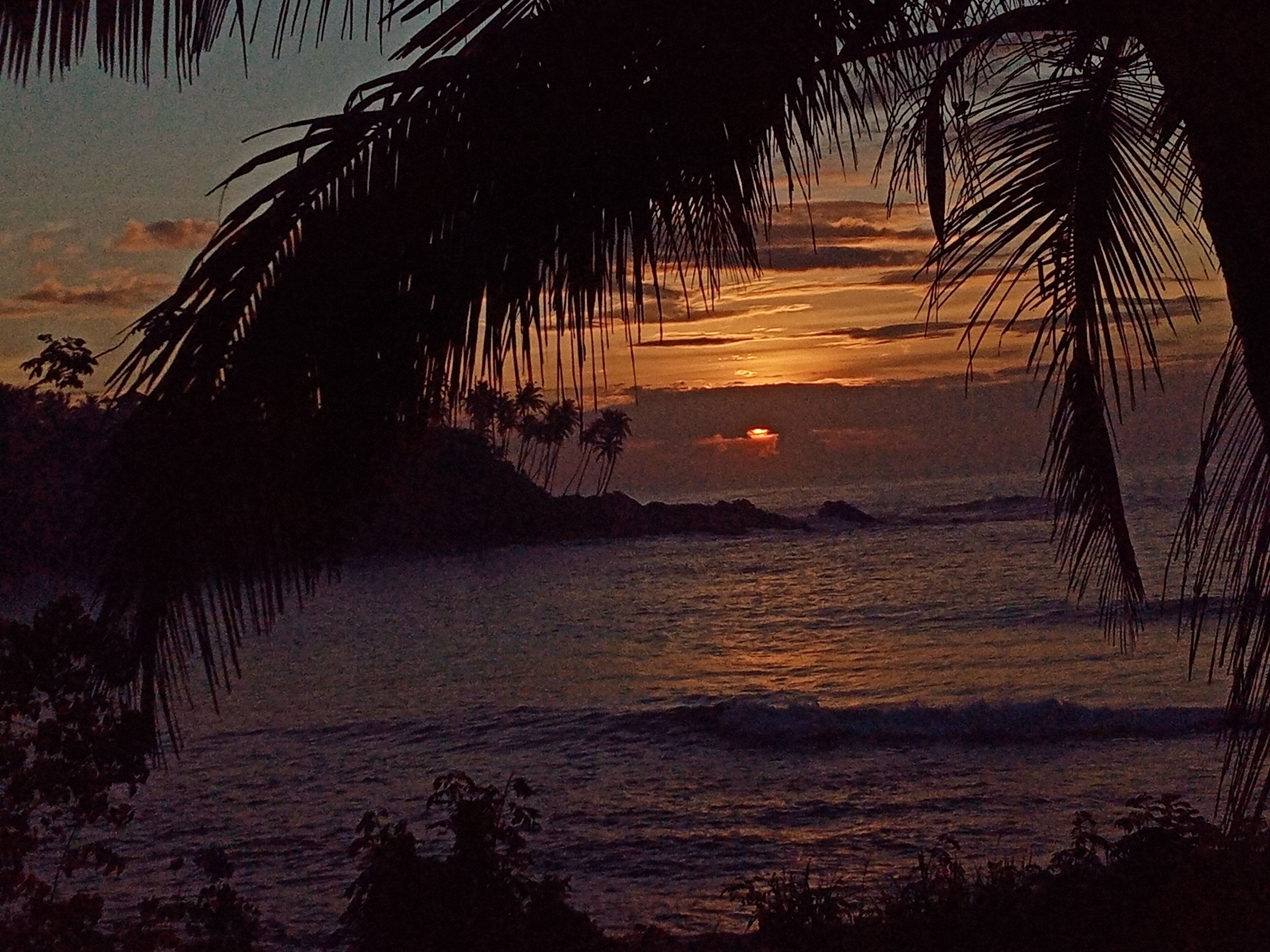 Surf Paradise Hotel