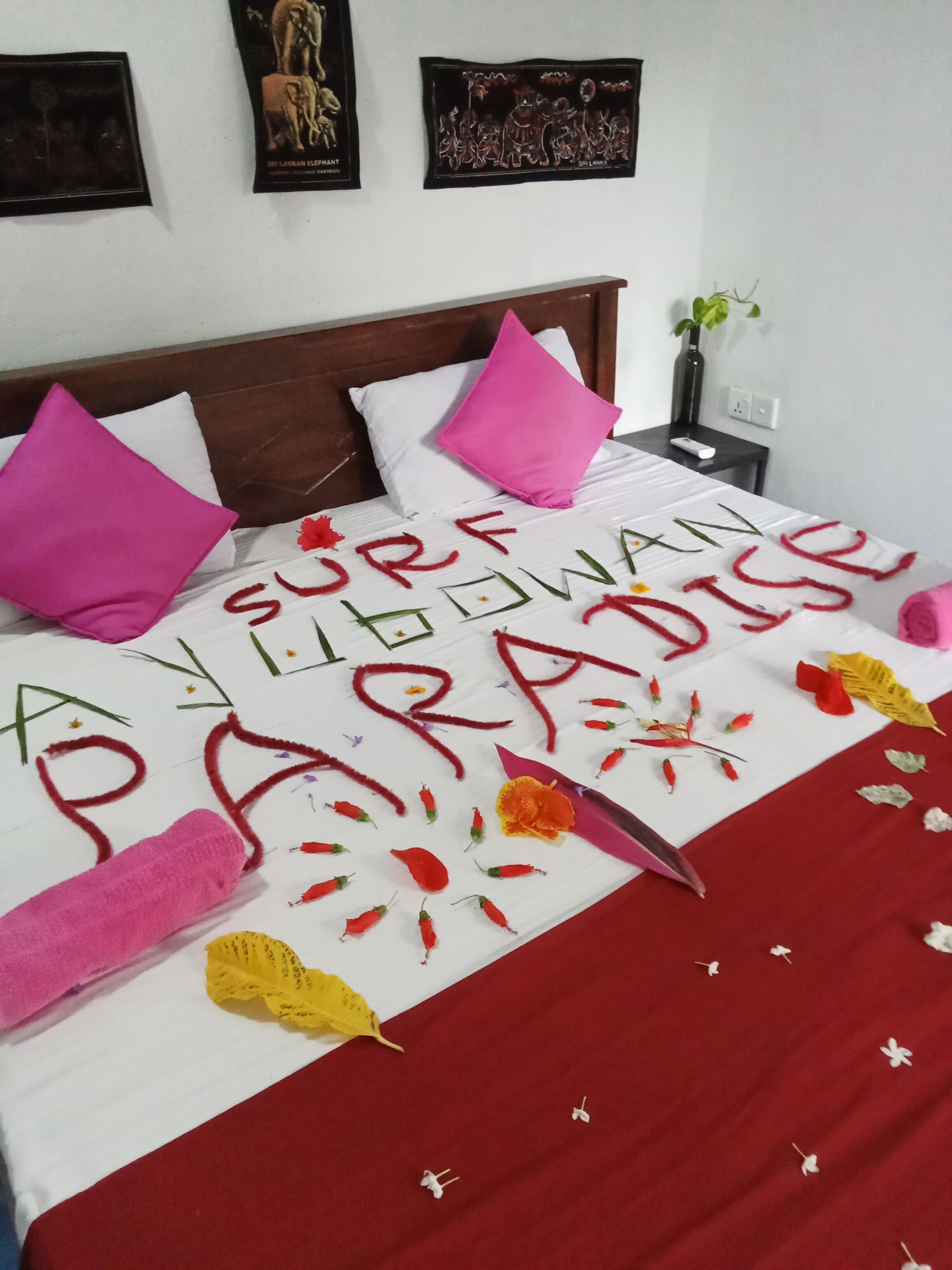 Surf Paradise Hotel