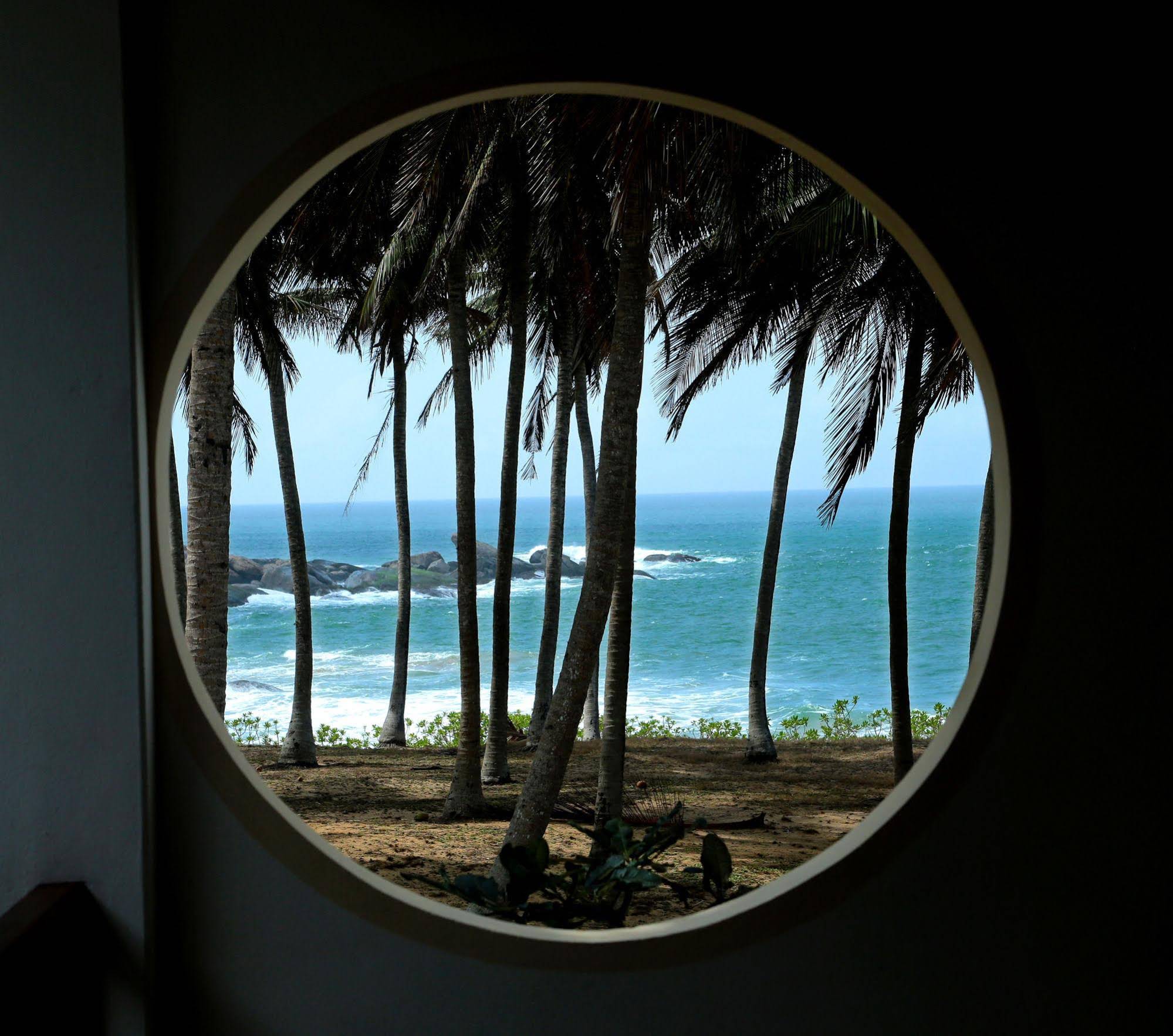 Turtle Bay