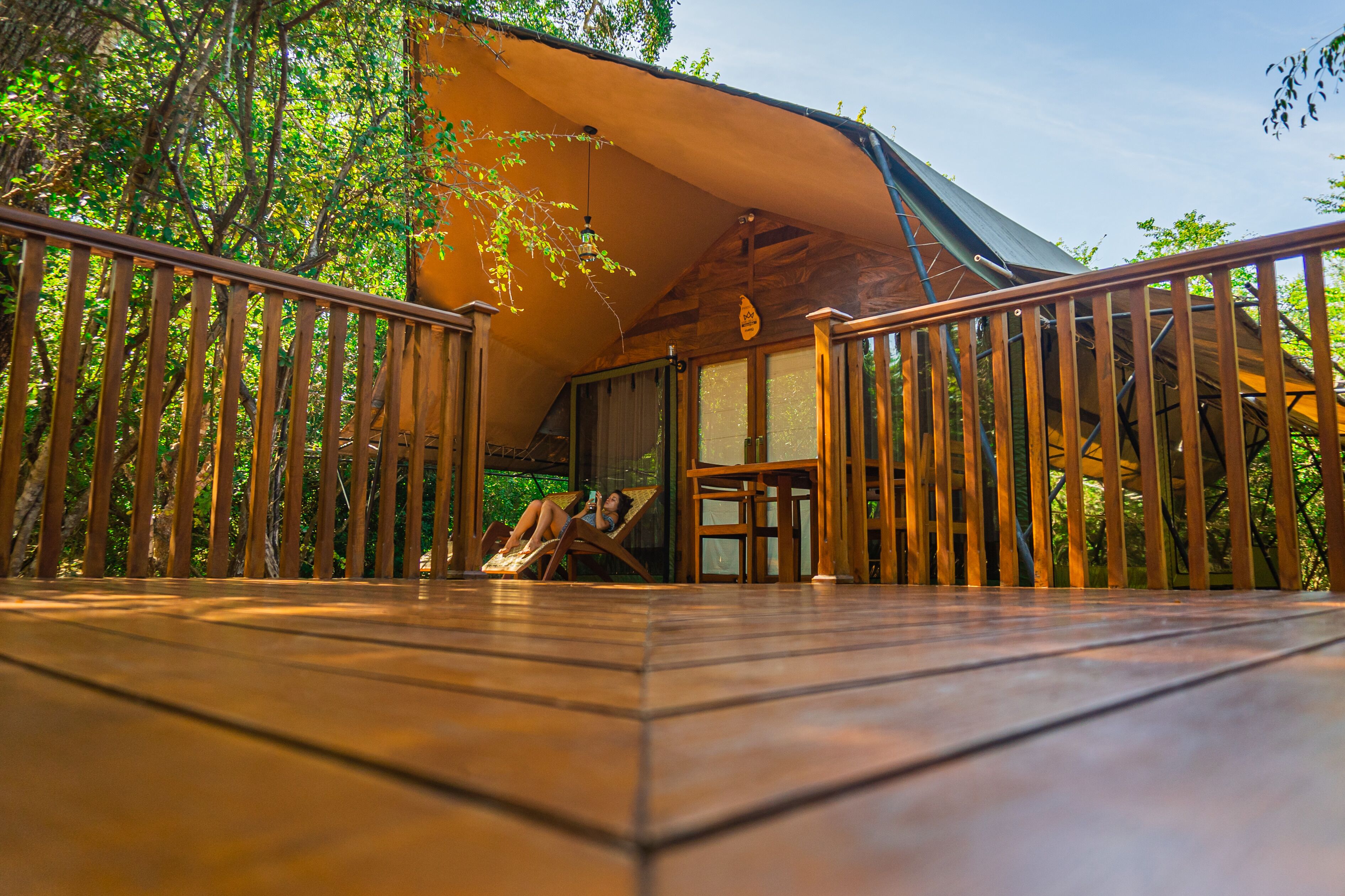 Leopard Reach Yala By Seven Angels