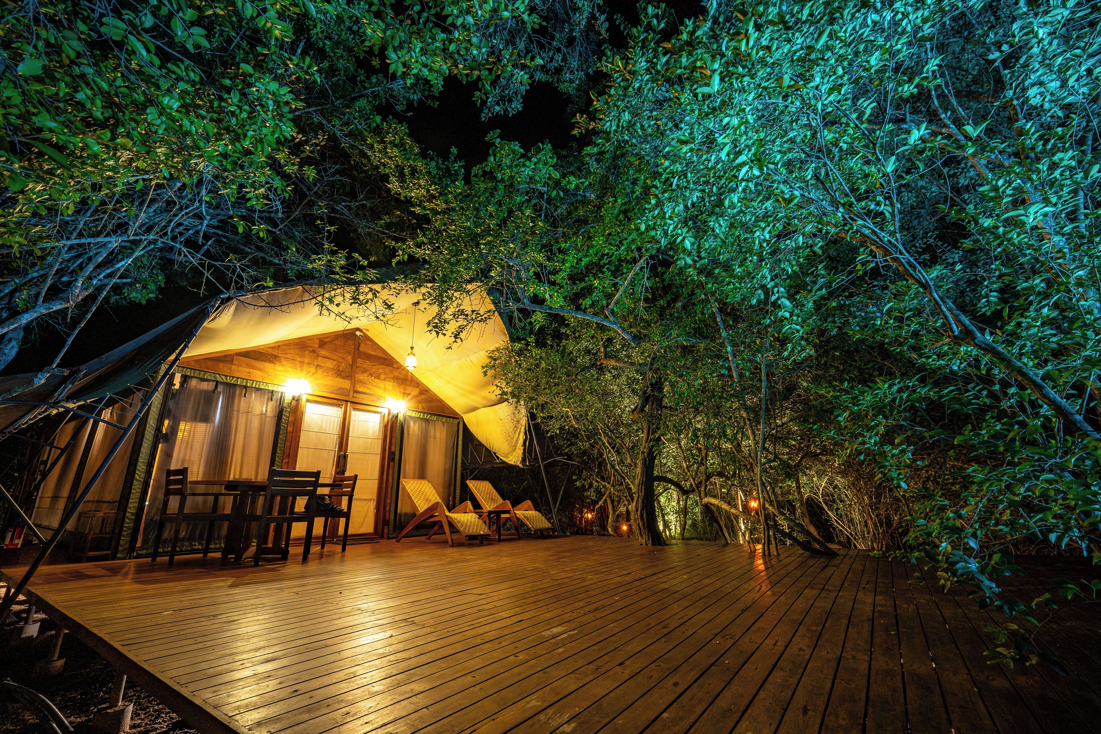 Leopard Reach Yala By Seven Angels