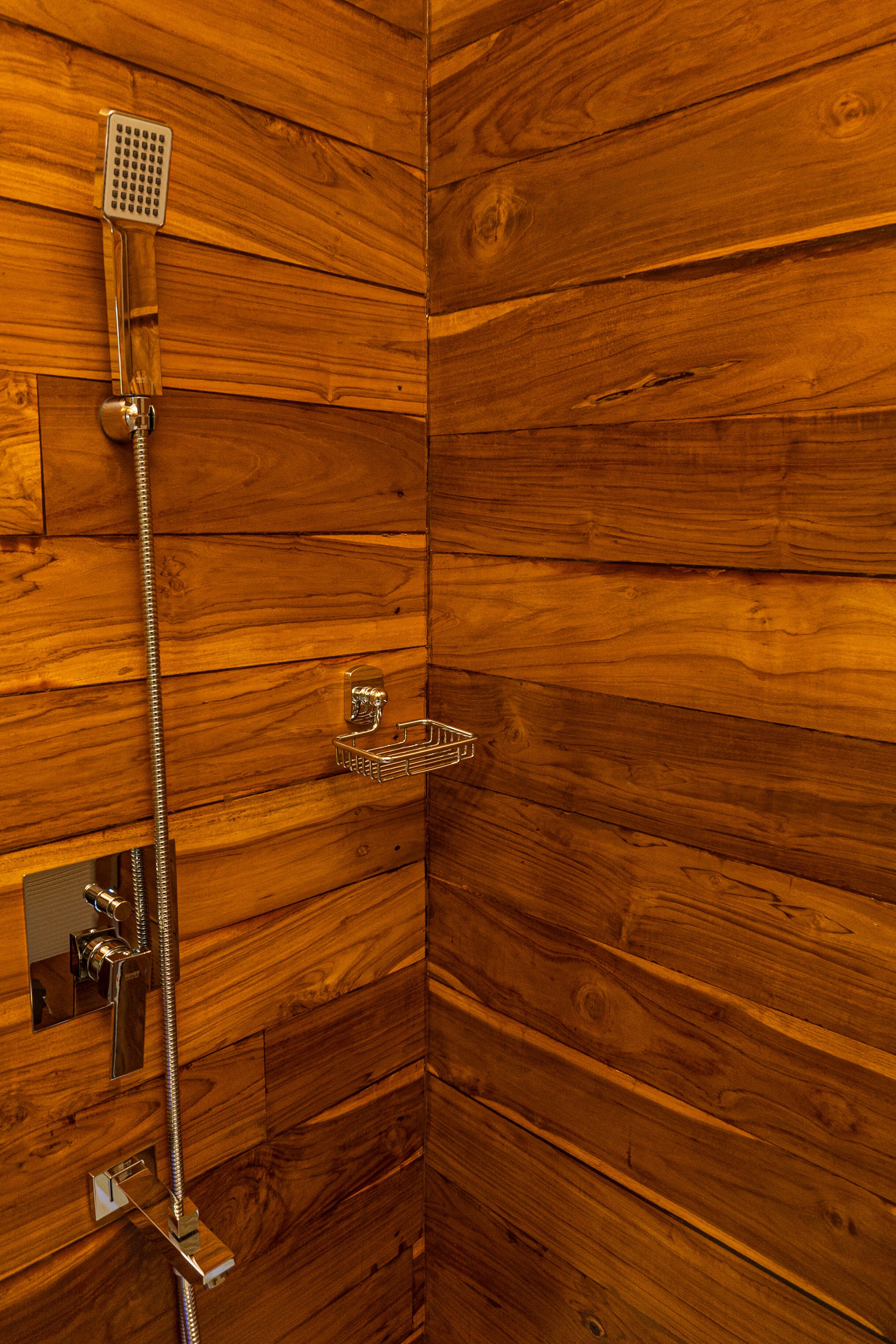 Leopard Reach Yala By Seven Angels