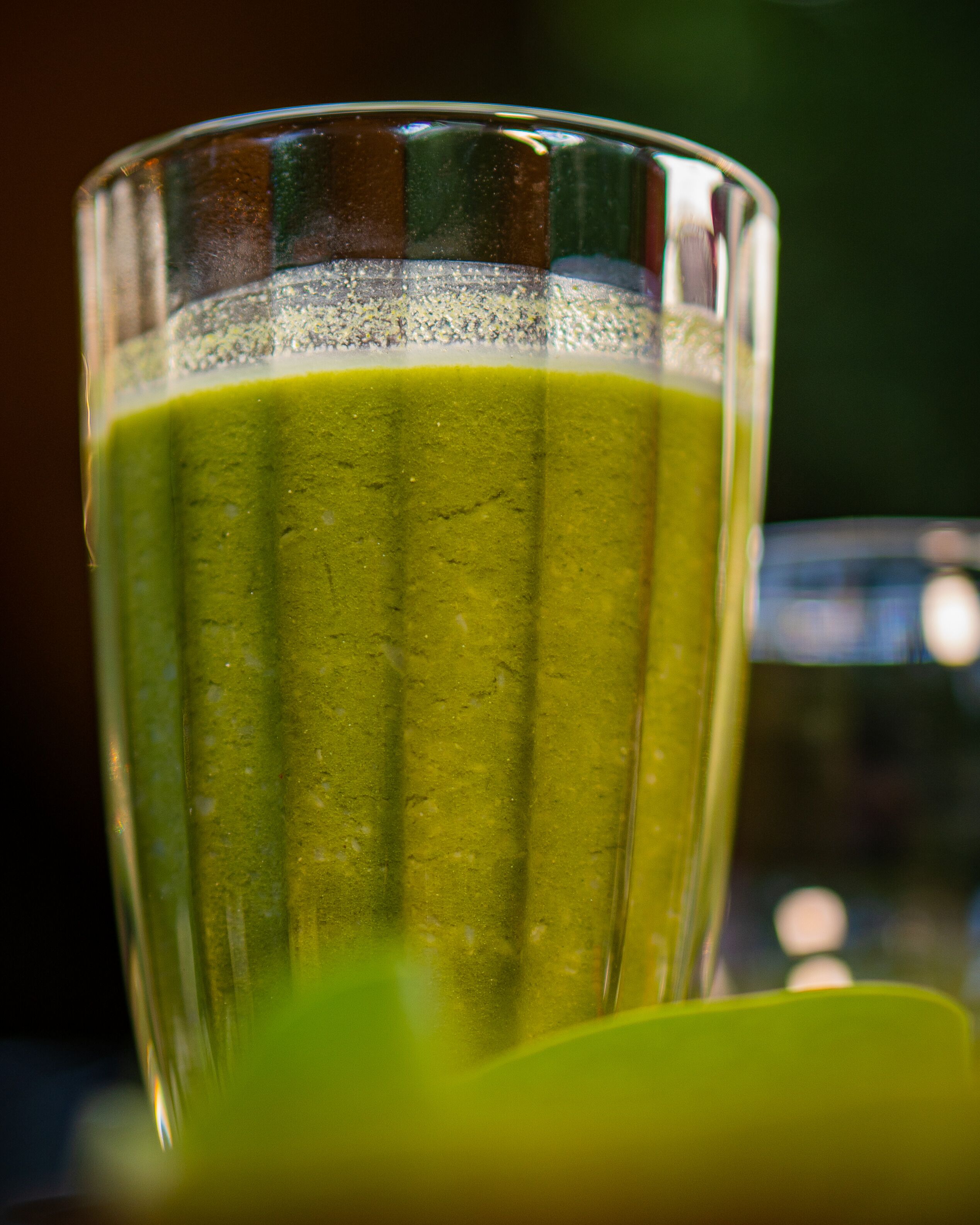 Leopard Reach Yala By Seven Angels