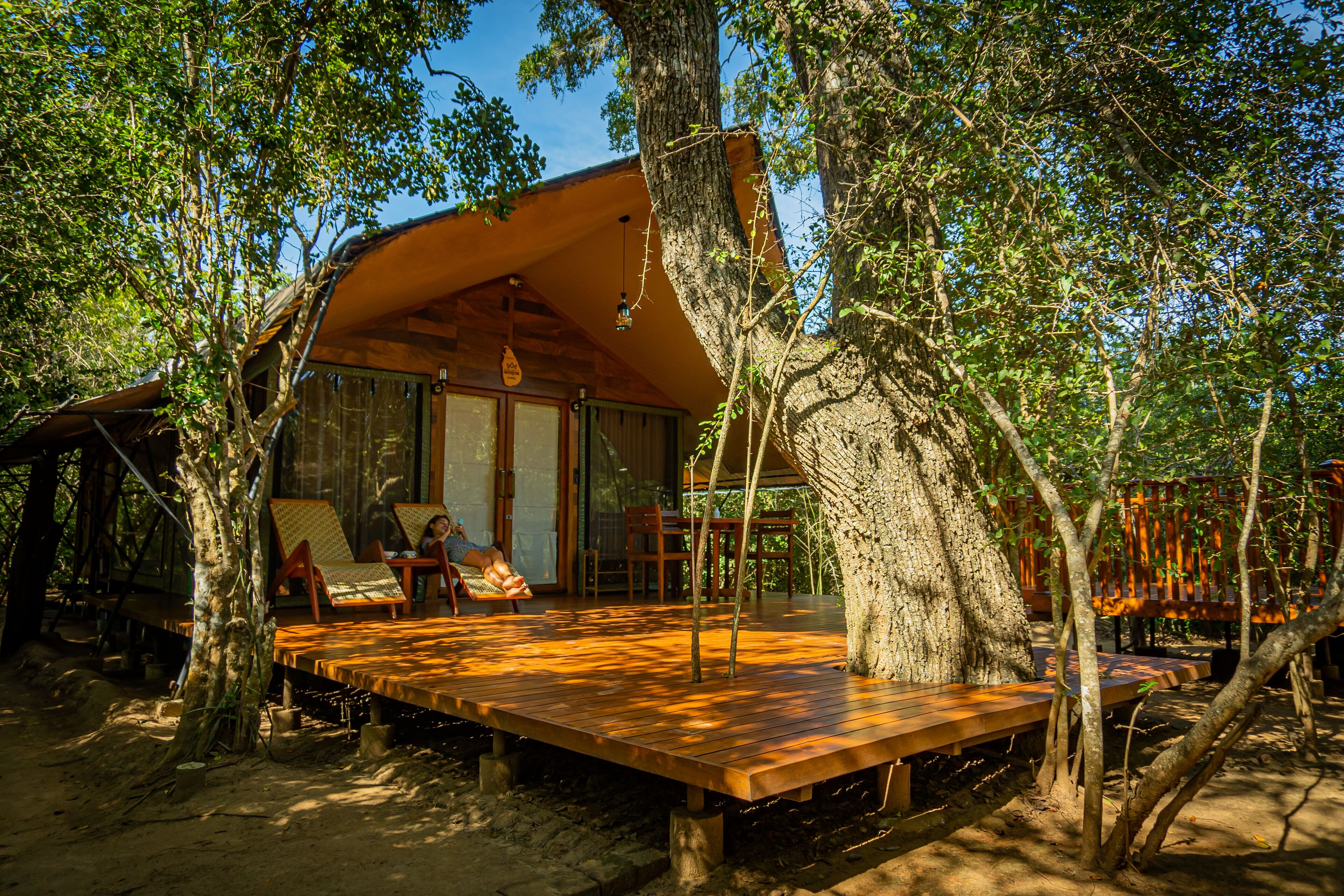 Leopard Reach Yala By Seven Angels