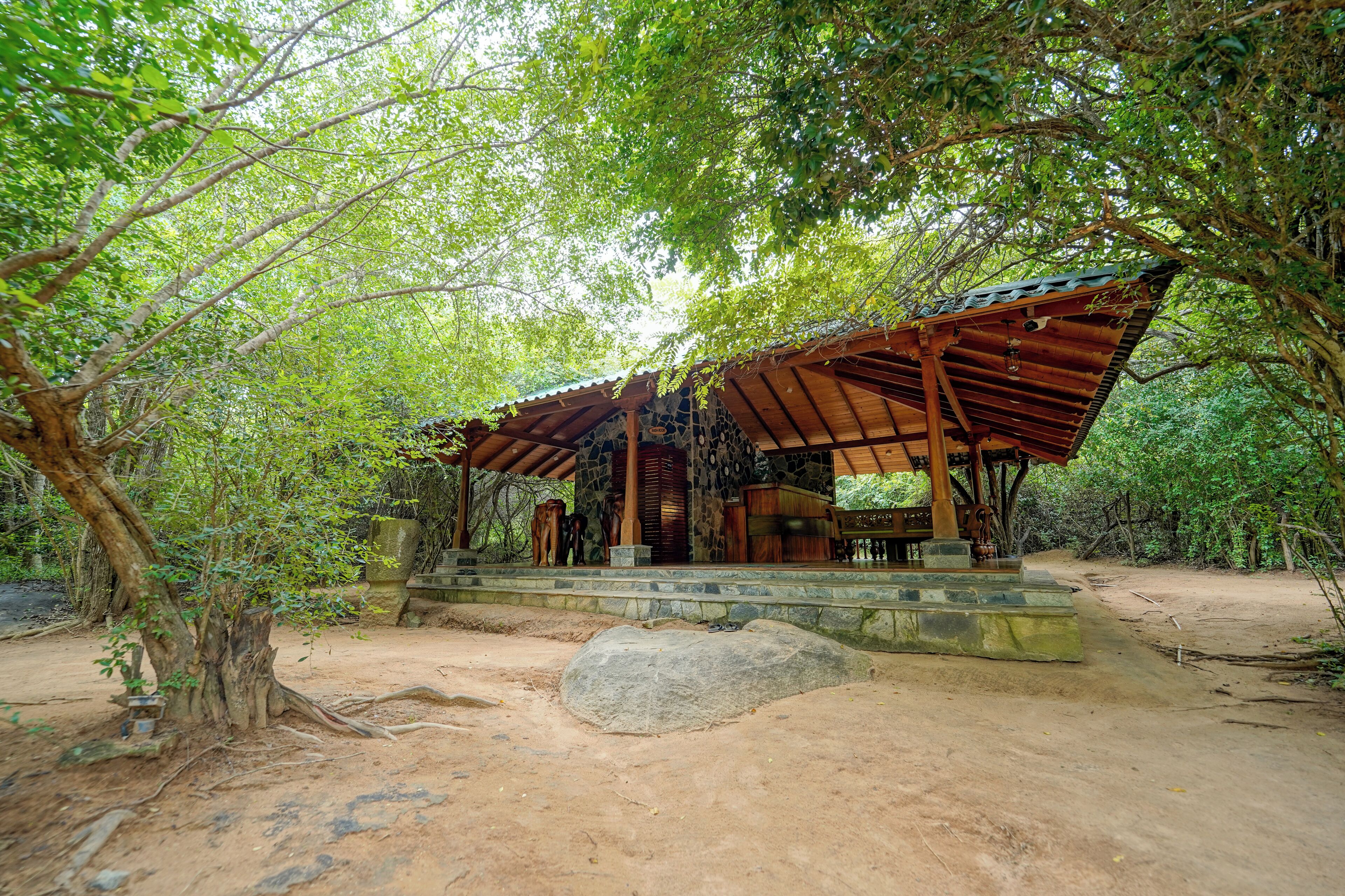 Leopard Reach Yala By Seven Angels