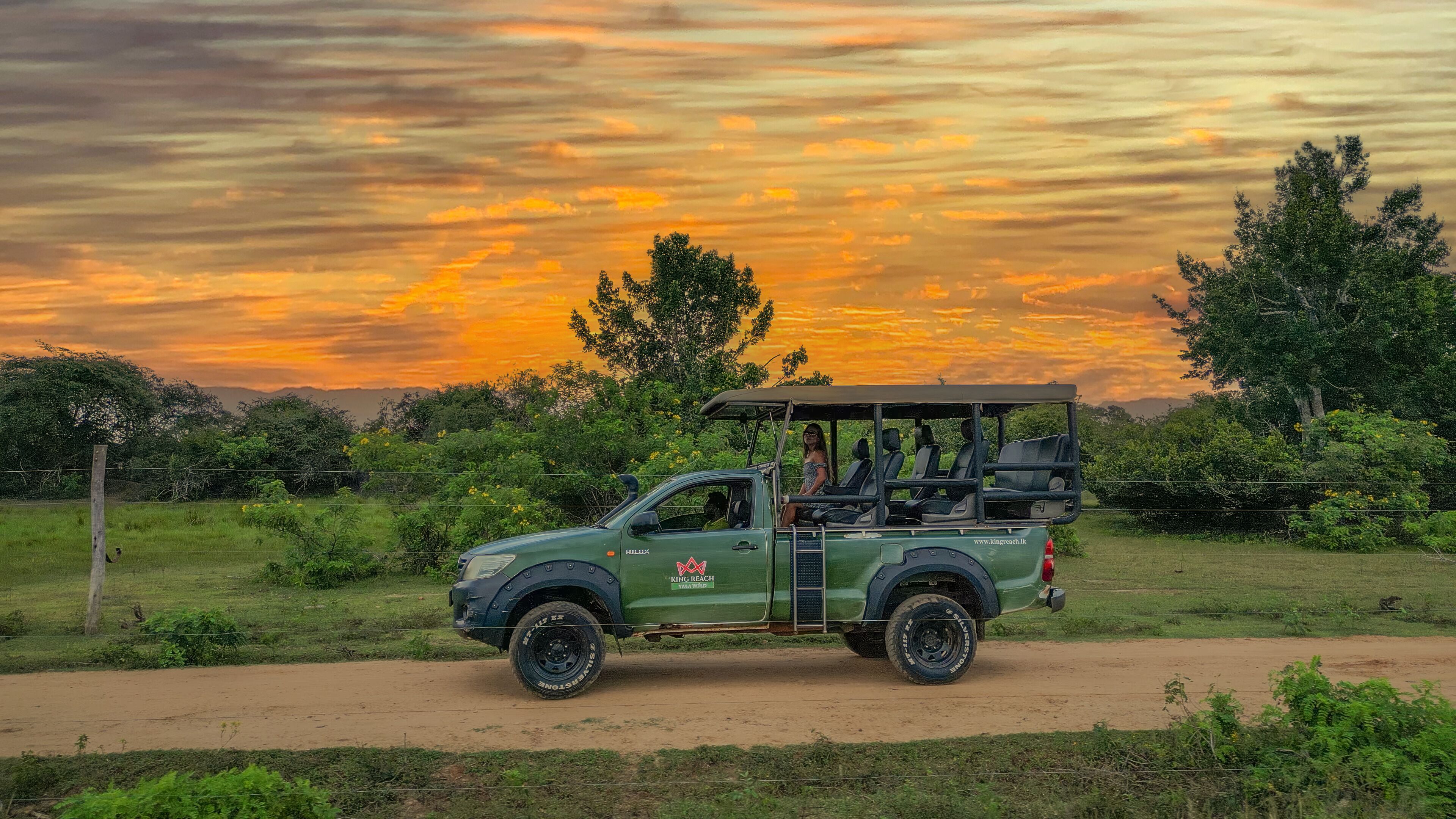 Leopard Reach Yala By Seven Angels