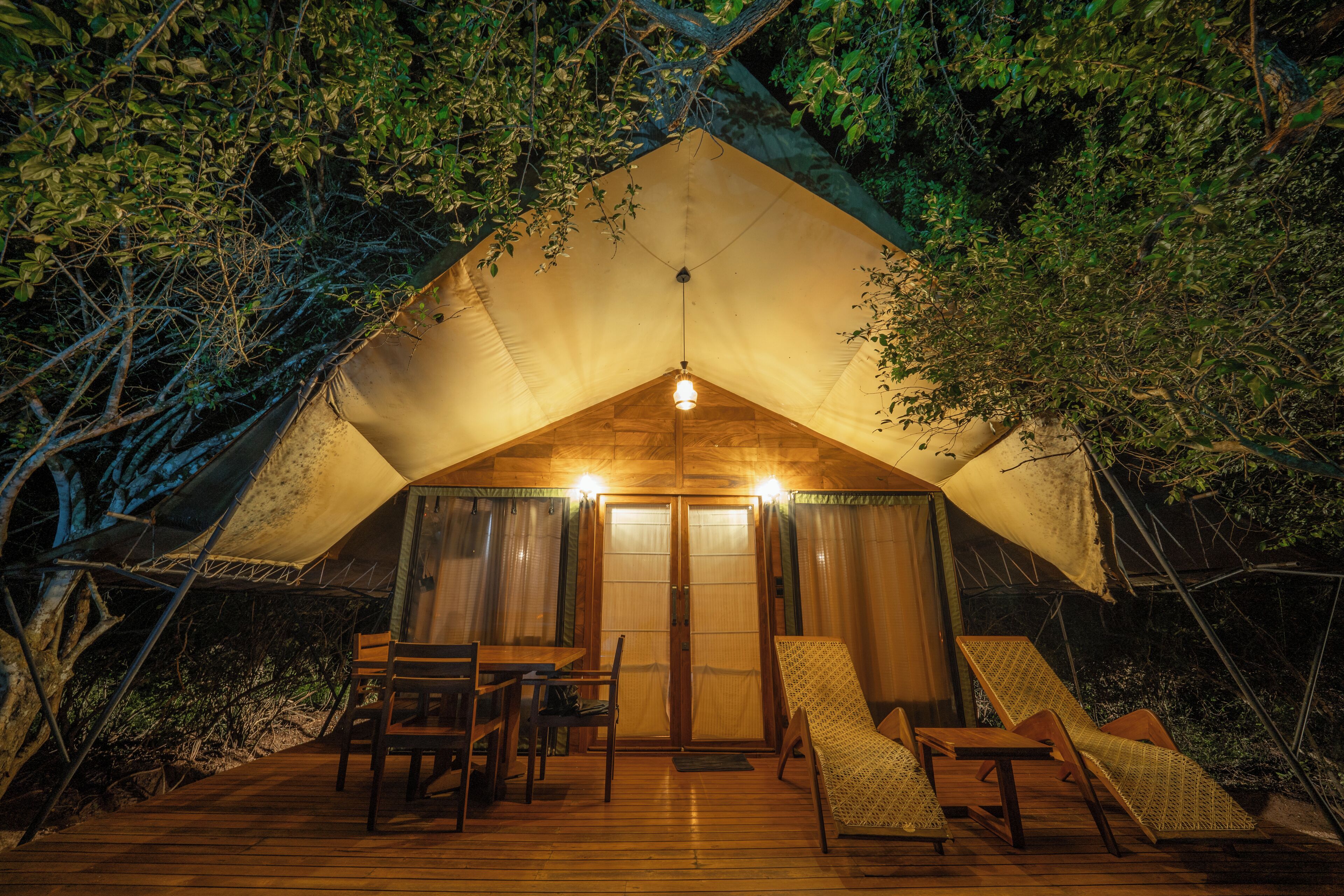 Leopard Reach Yala By Seven Angels