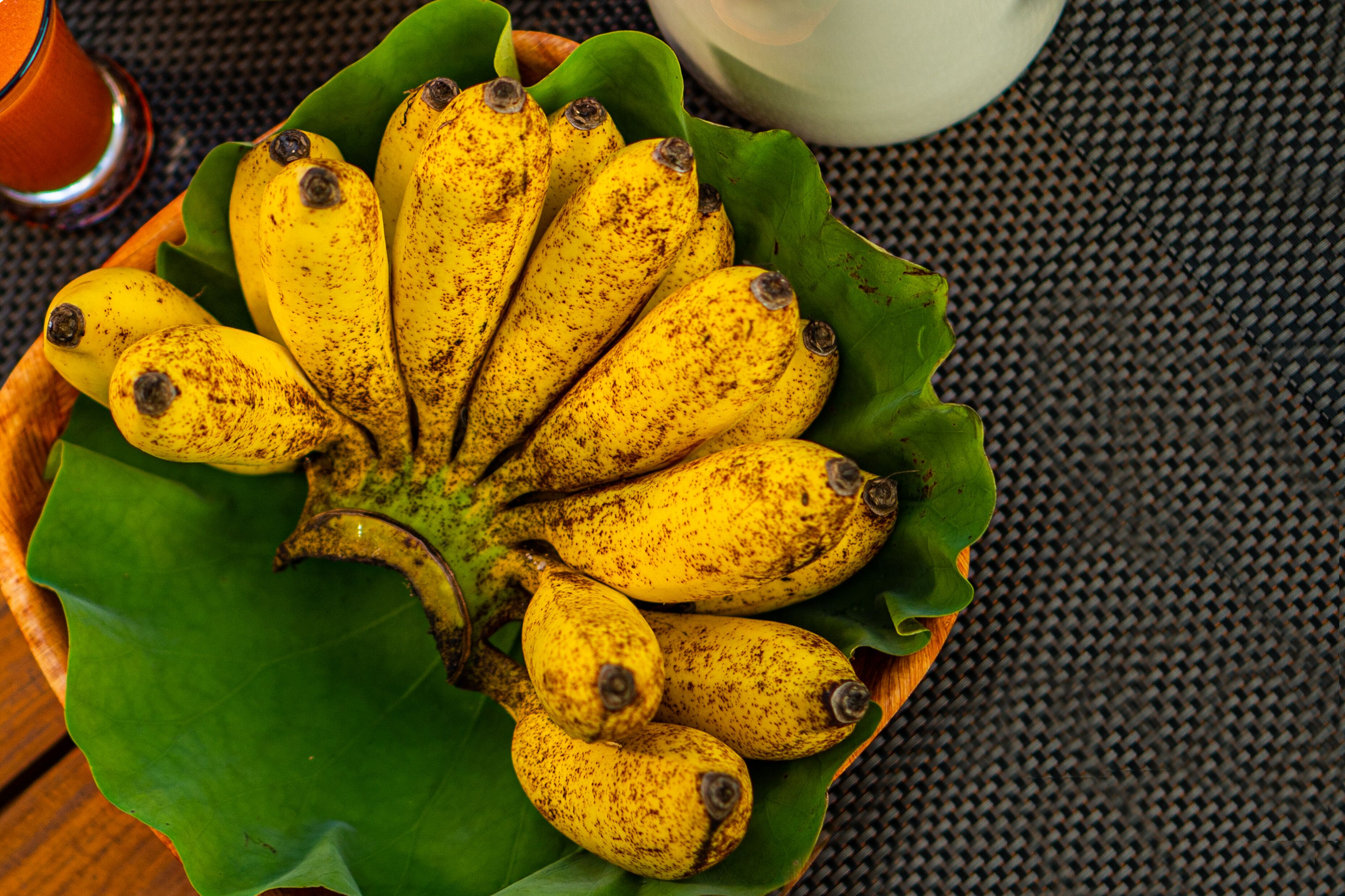 Leopard Reach Yala By Seven Angels