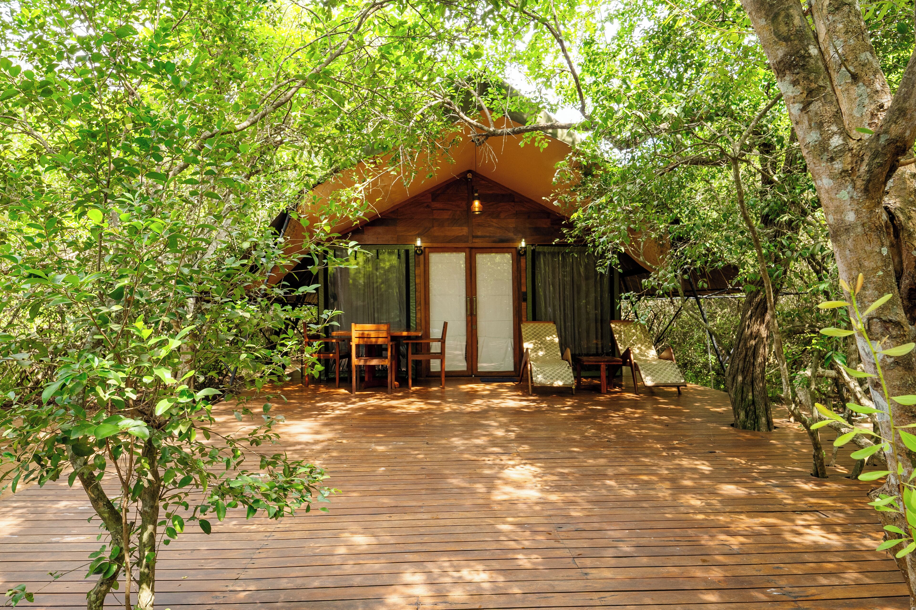 Leopard Reach Yala By Seven Angels