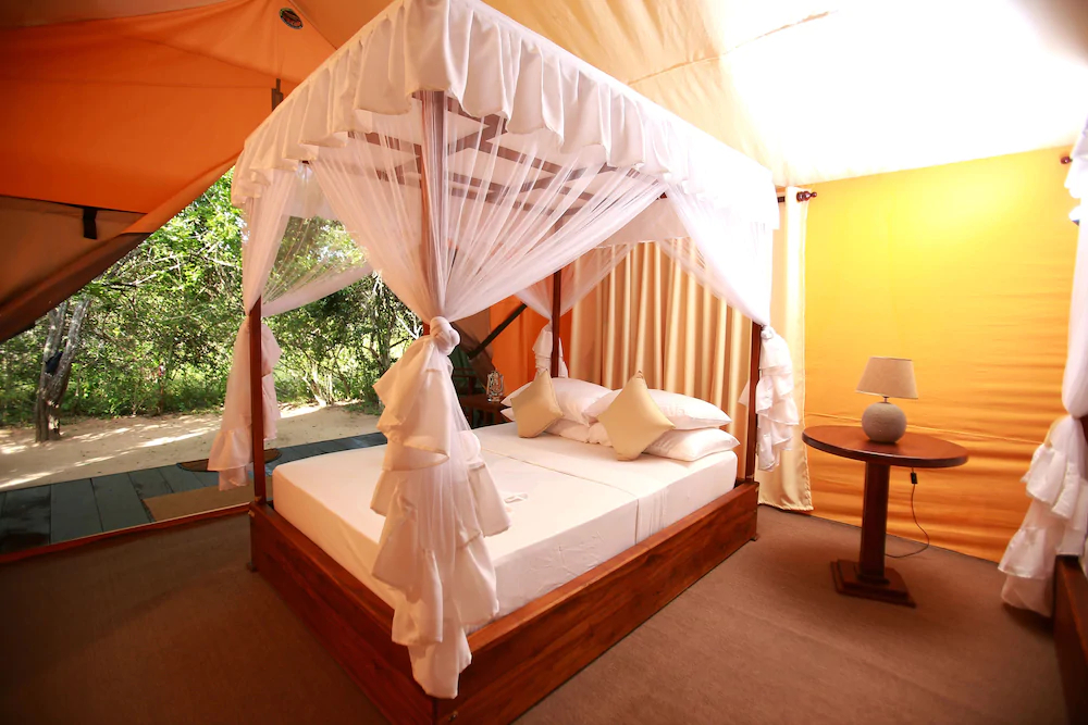 Yala Safari and Relax Camping