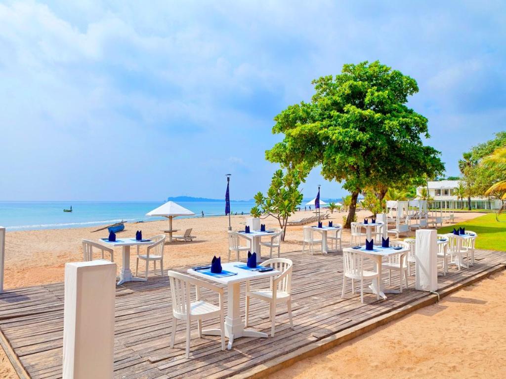 Trinco Blu by Cinnamon