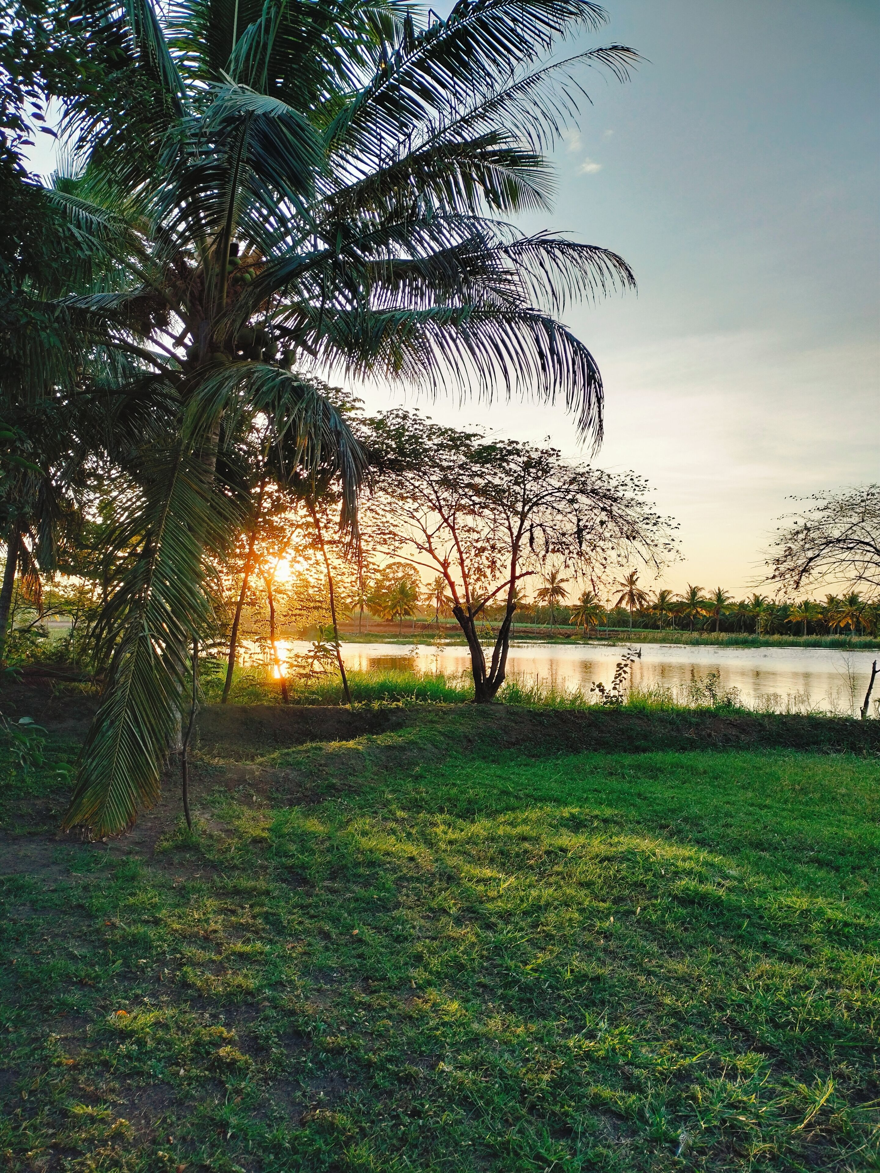 Harmony Haven