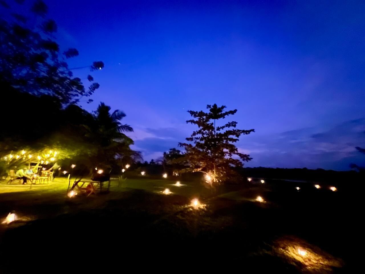 Harmony Haven
