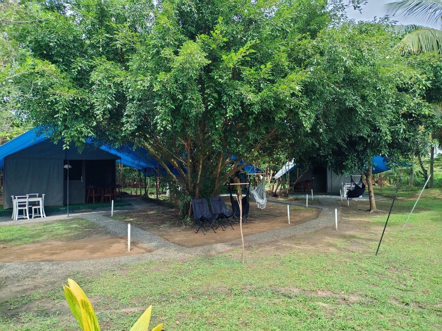 Harmony Haven