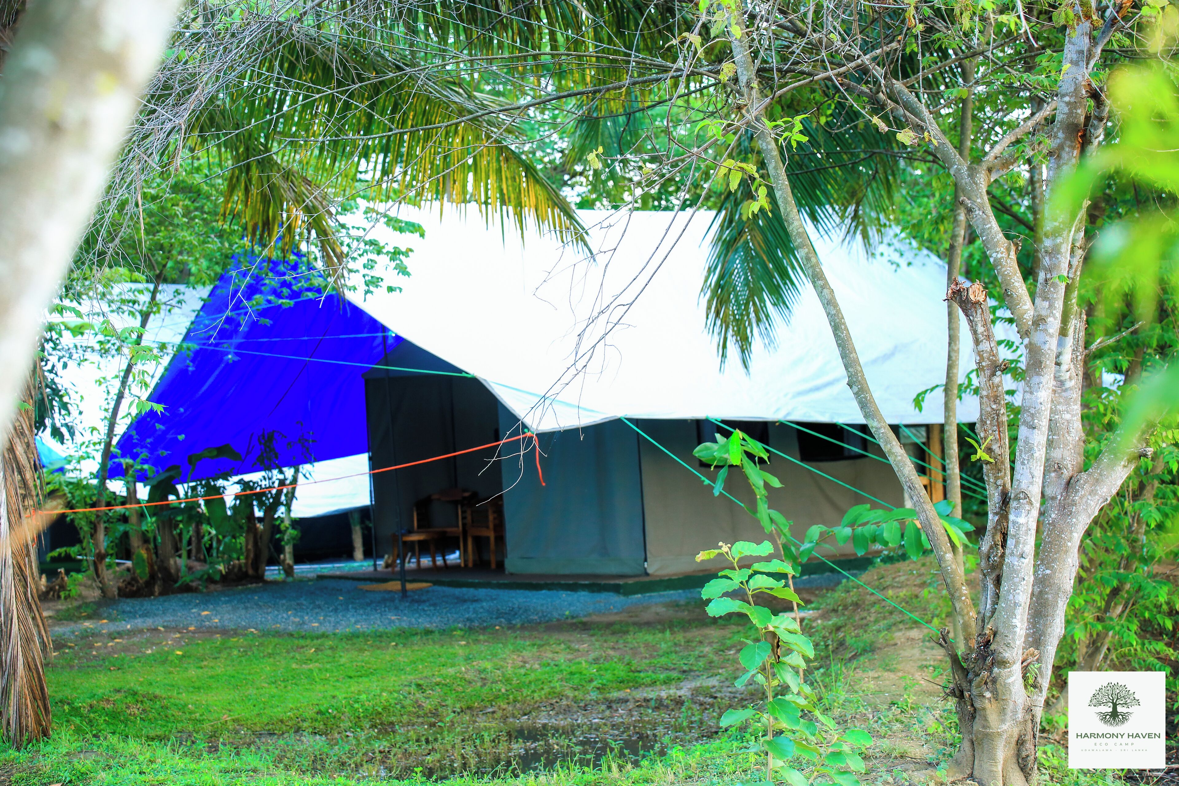 Harmony Haven