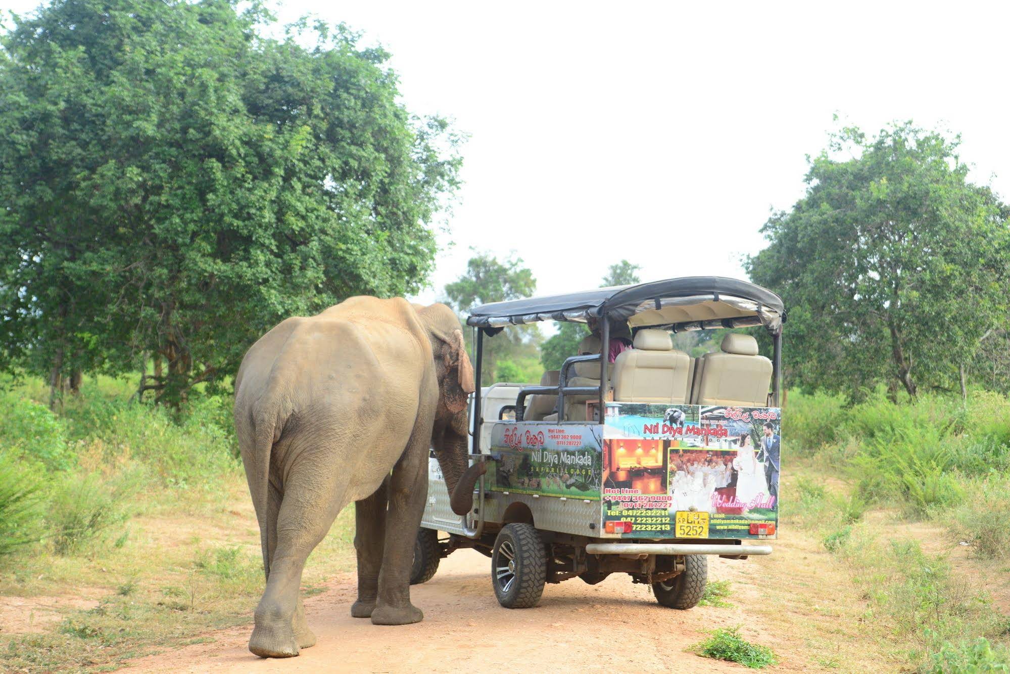 Nil Diya Mankada Safari Lodge